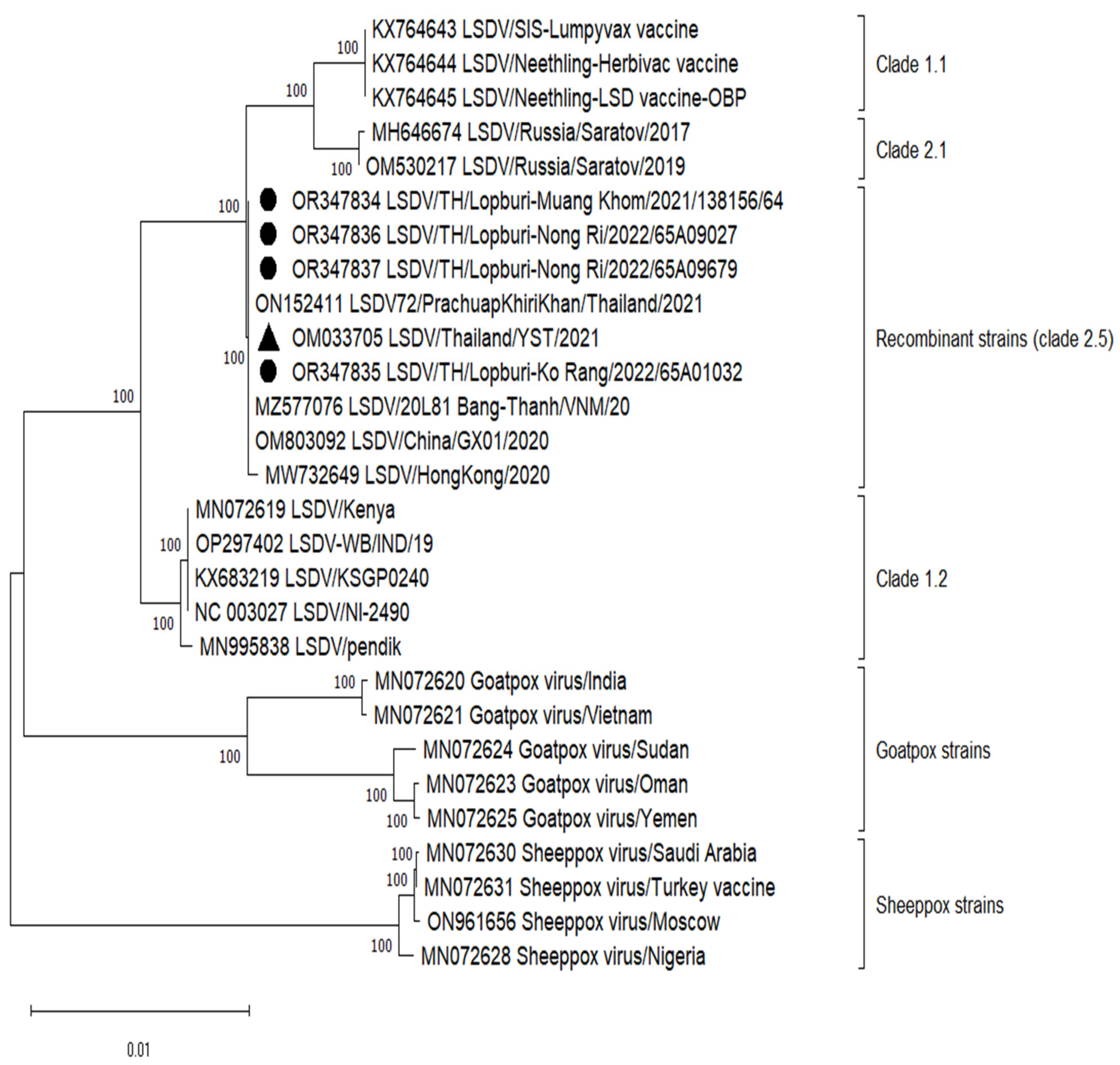 Vetsci 11 00010 g002