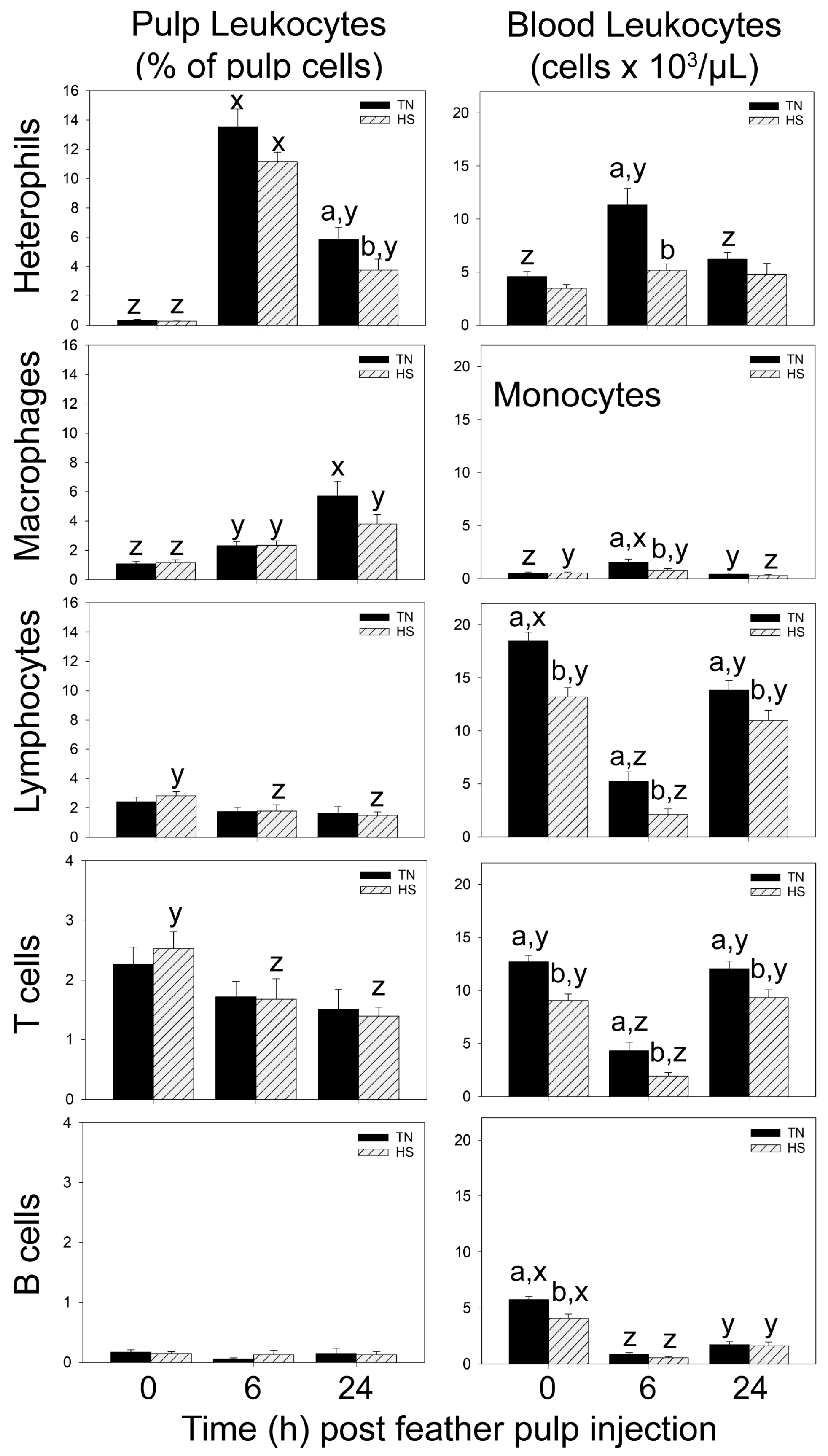 Vetsci 11 00016 g001