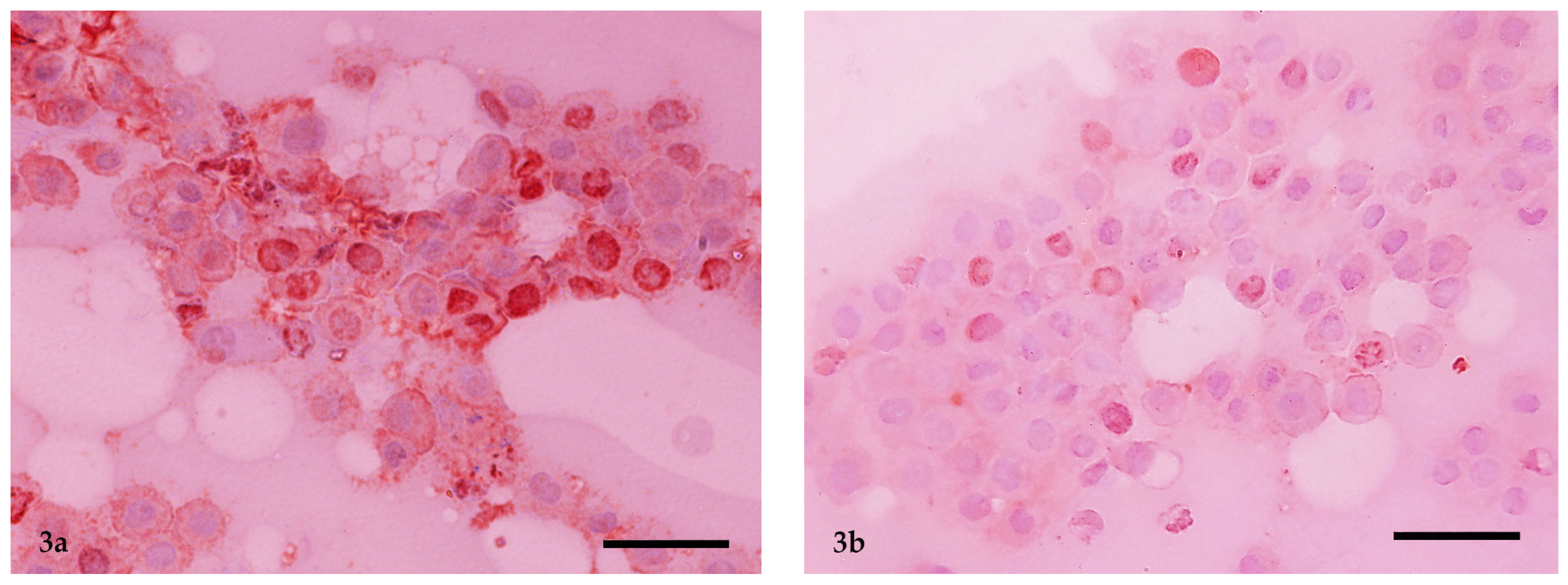 Vetsci 11 00023 g003