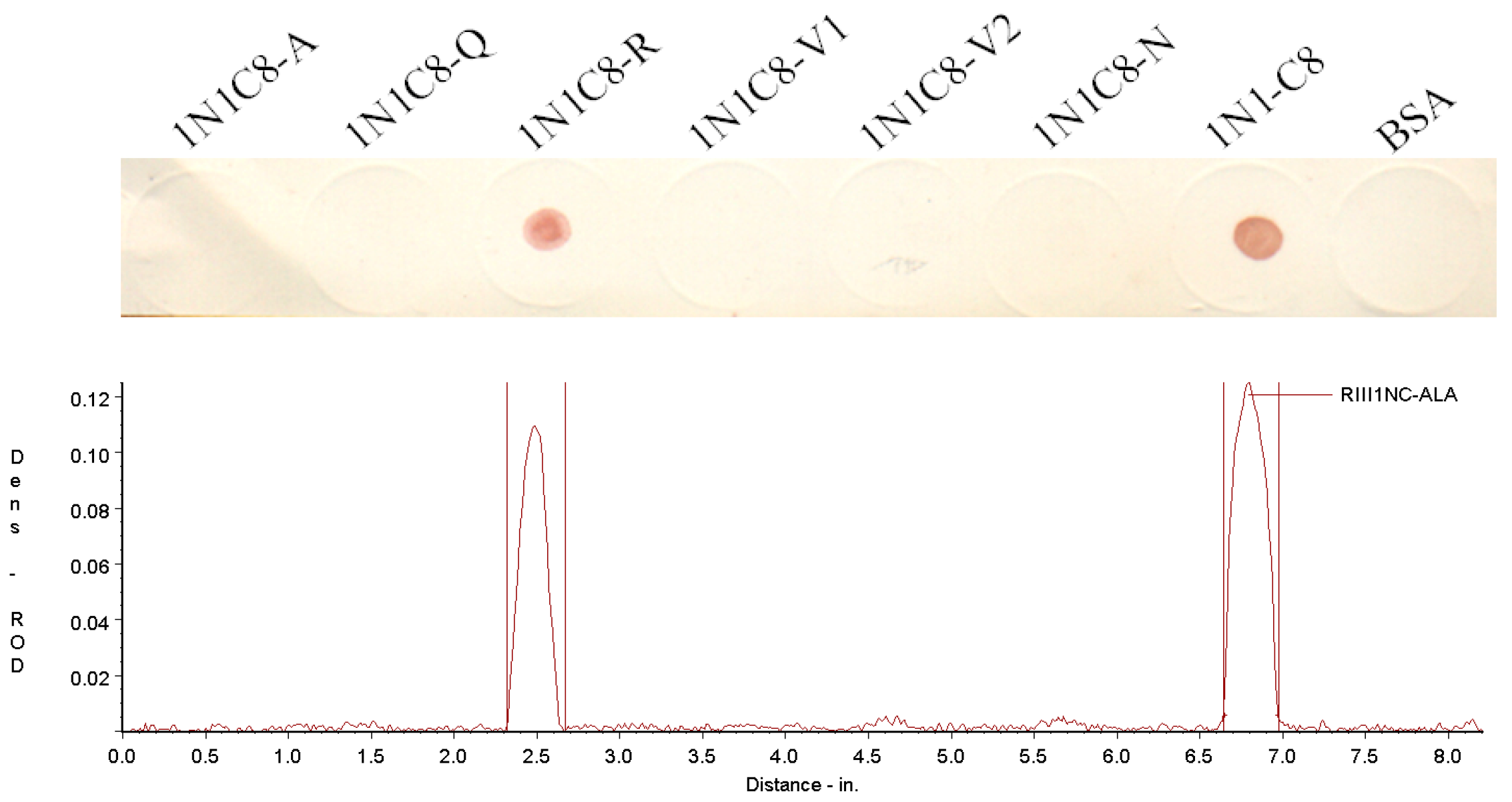 Vetsci 11 00024 g005 Vetsci 11 00024 g005