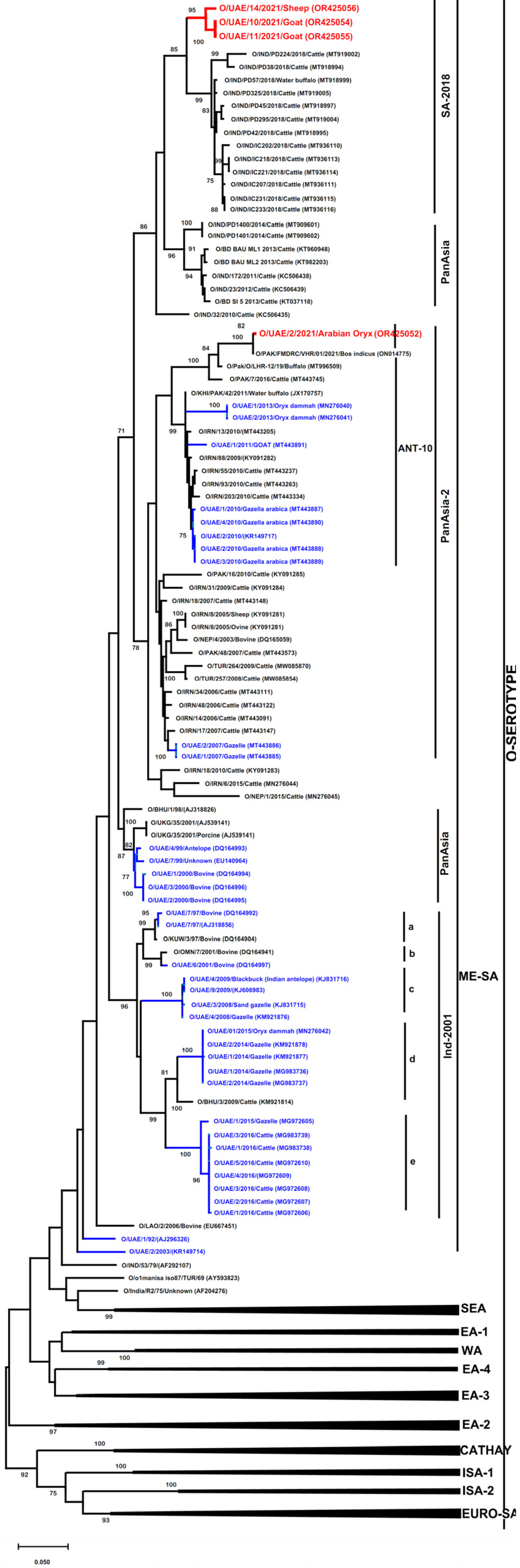 Vetsci 11 00032 g002