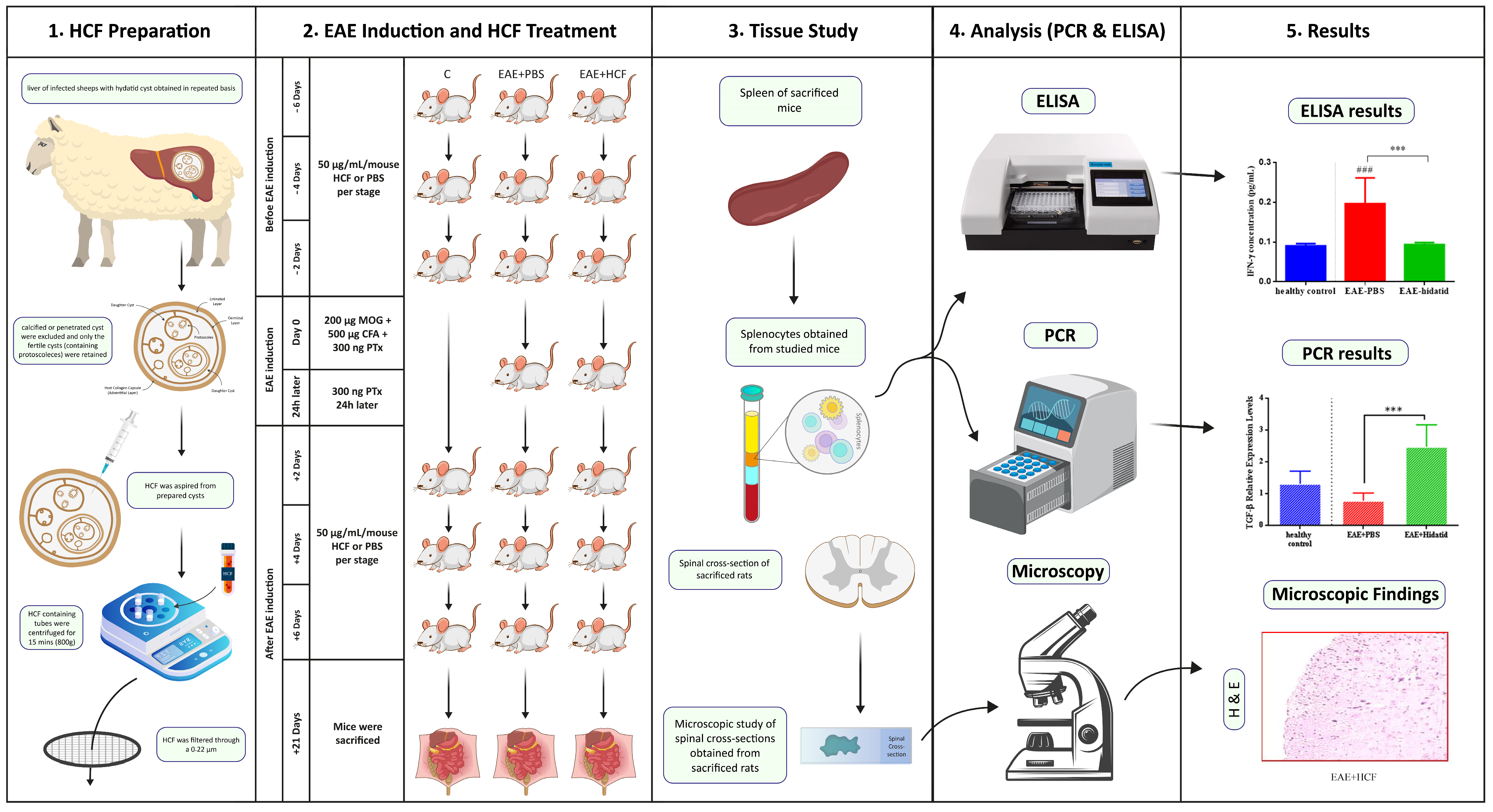 Vetsci 11 00034 g001
