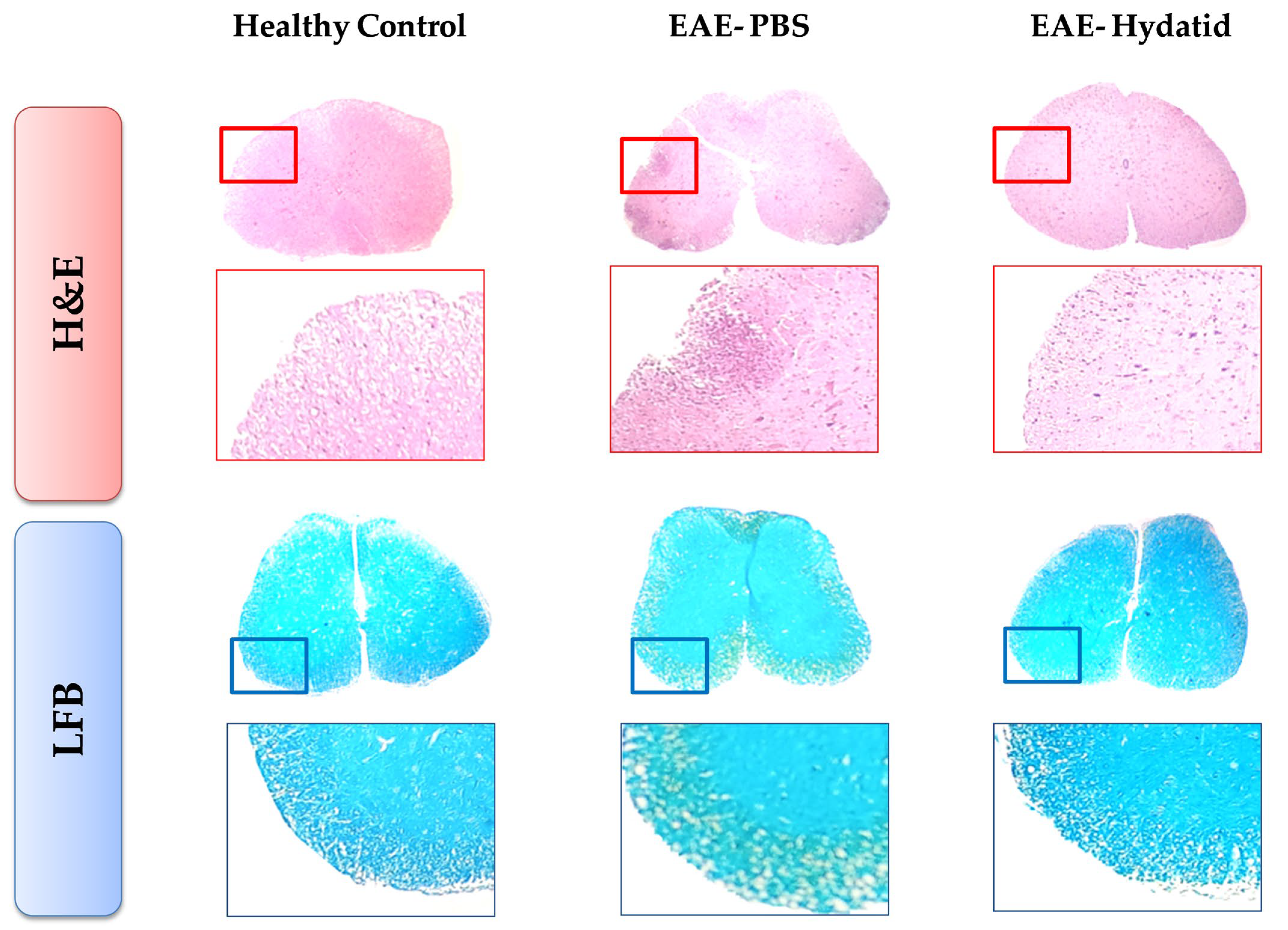 Vetsci 11 00034 g003