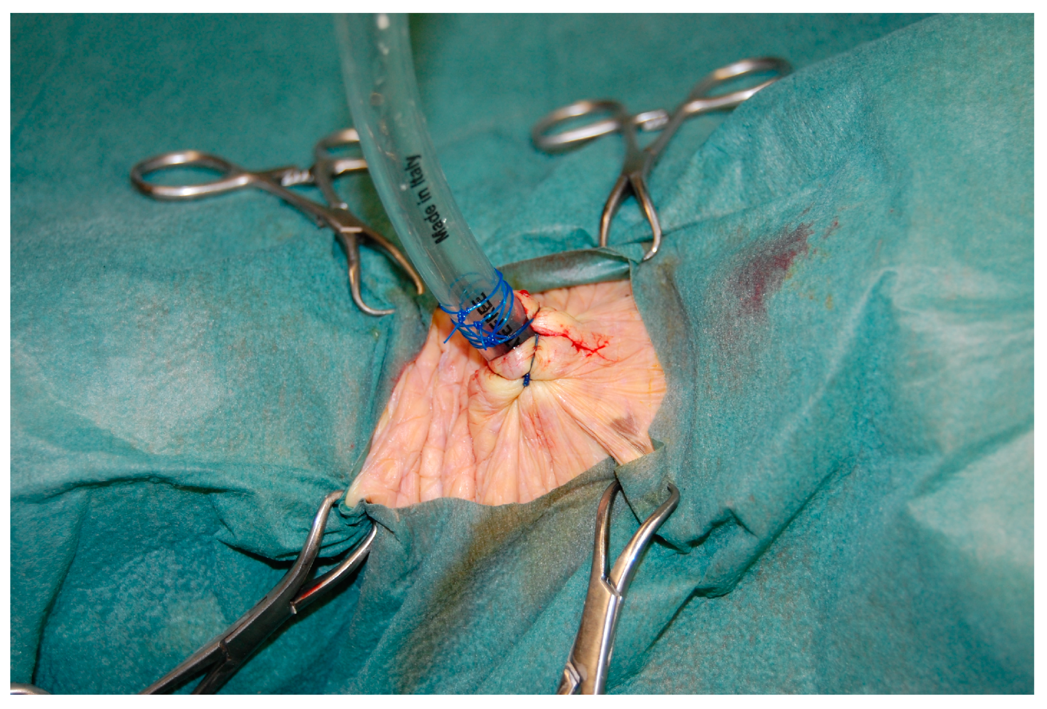 Vetsci 11 00035 g003