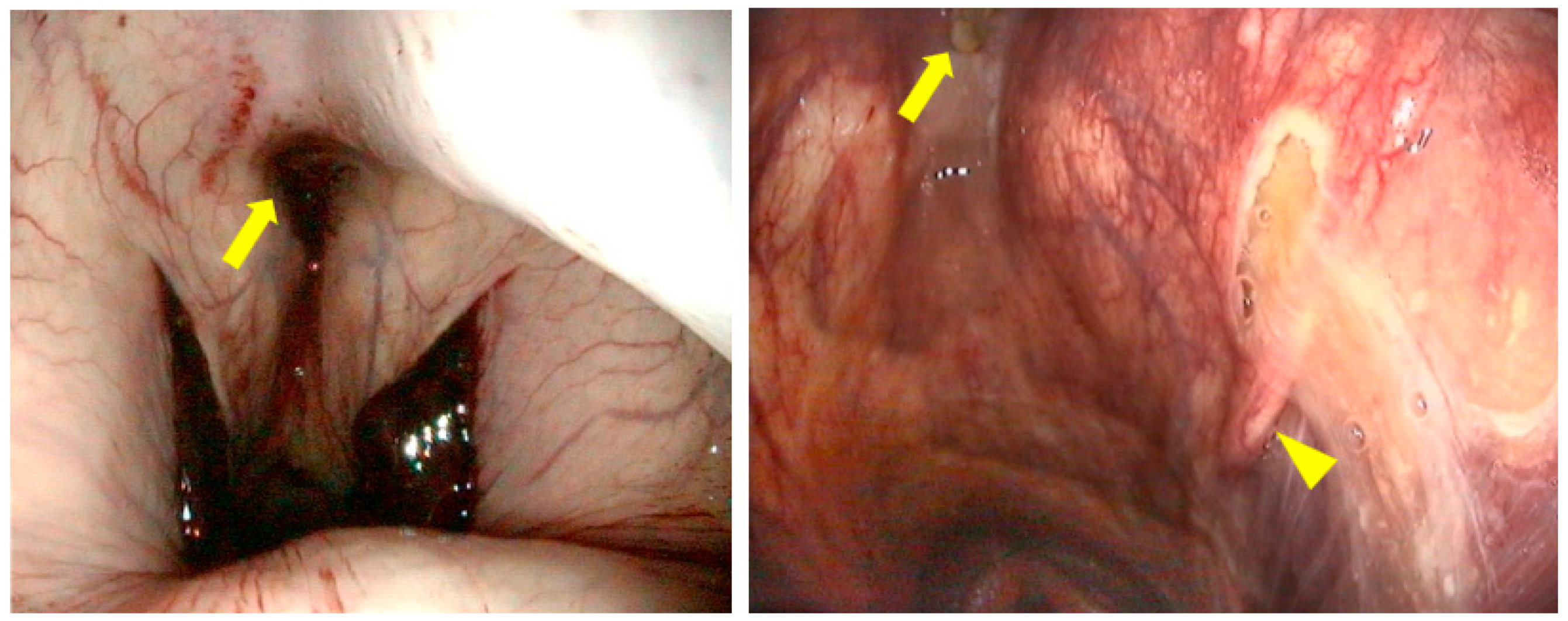 Vetsci 11 00041 g001