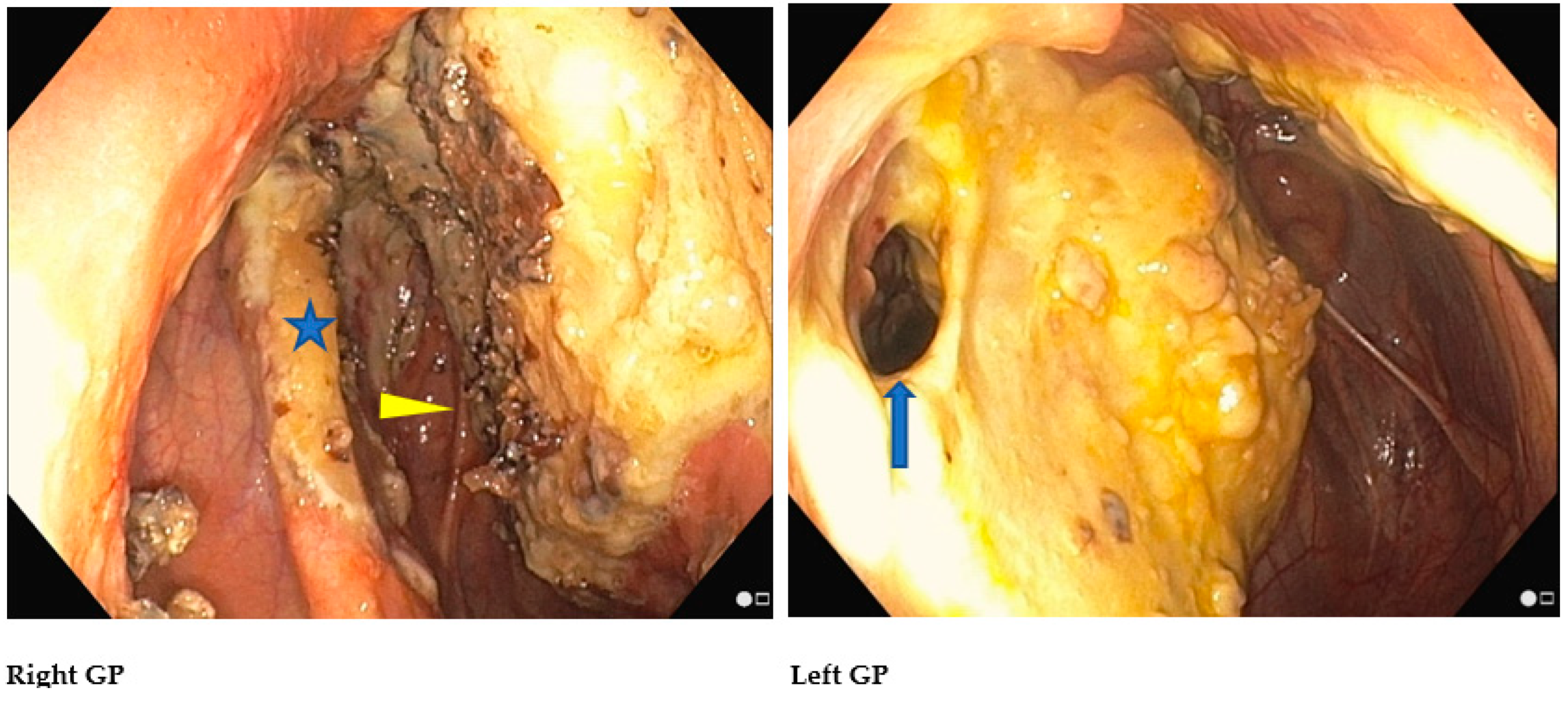 Vetsci 11 00041 g007