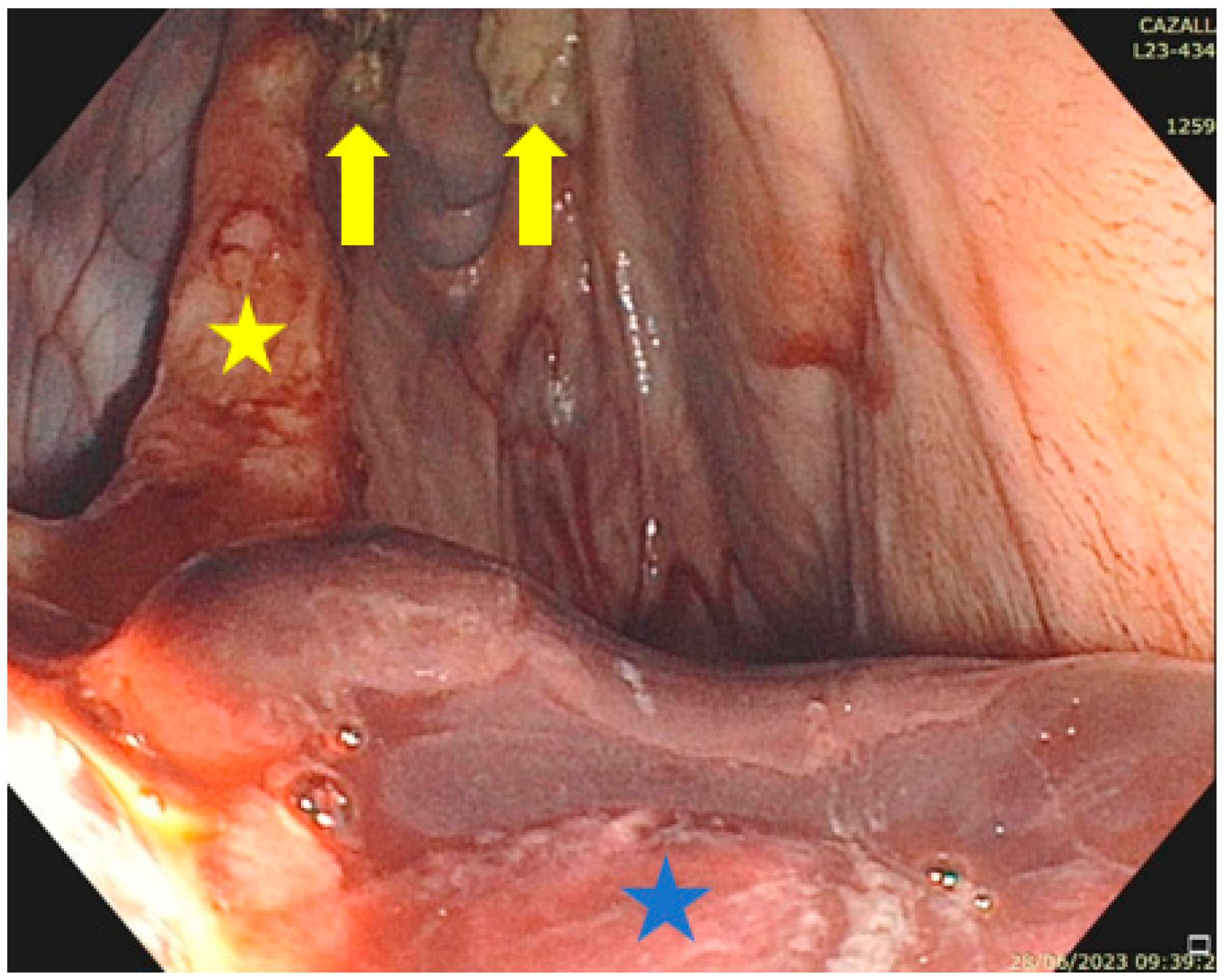 Vetsci 11 00041 g010