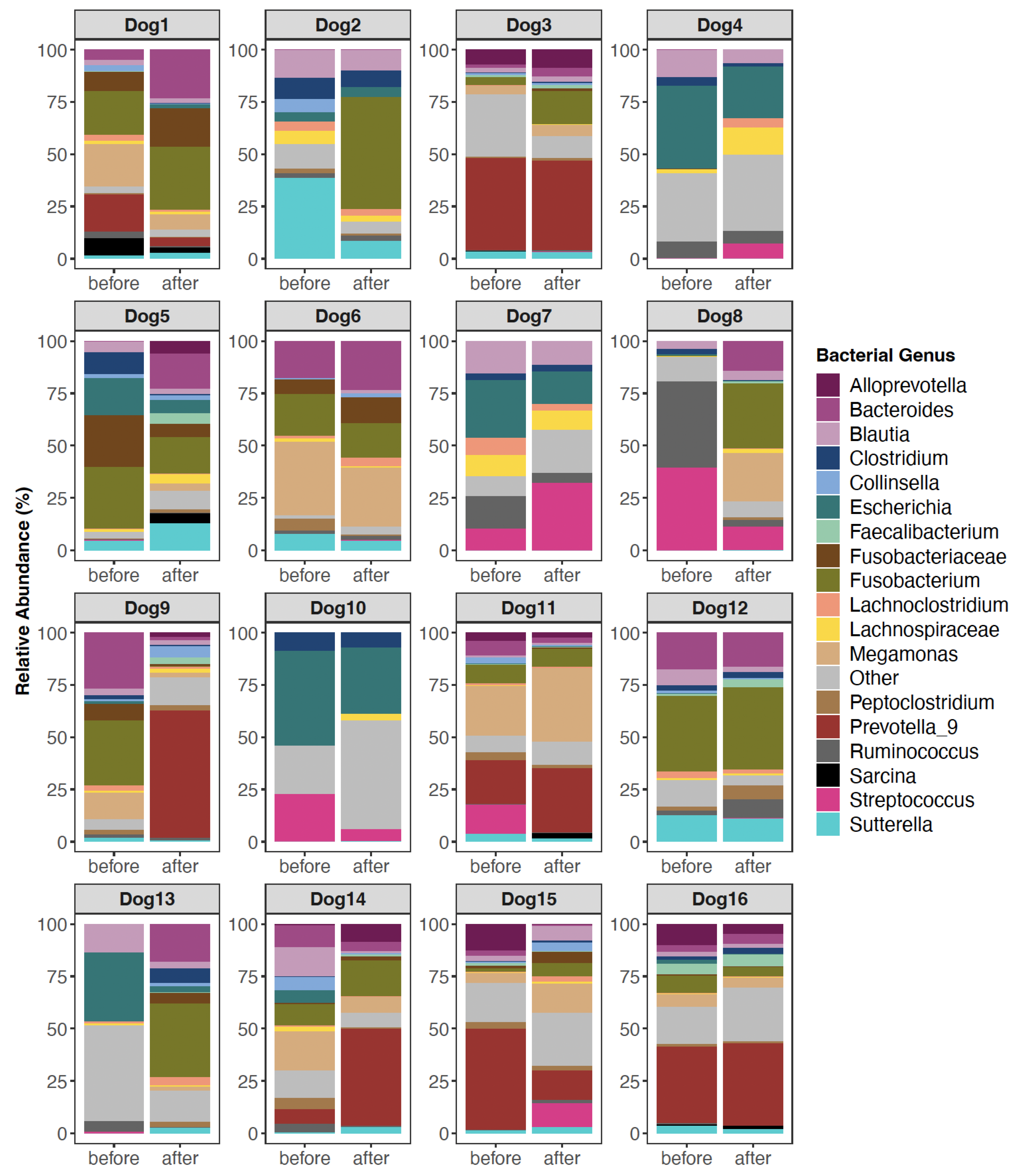 Vetsci 11 00042 g001