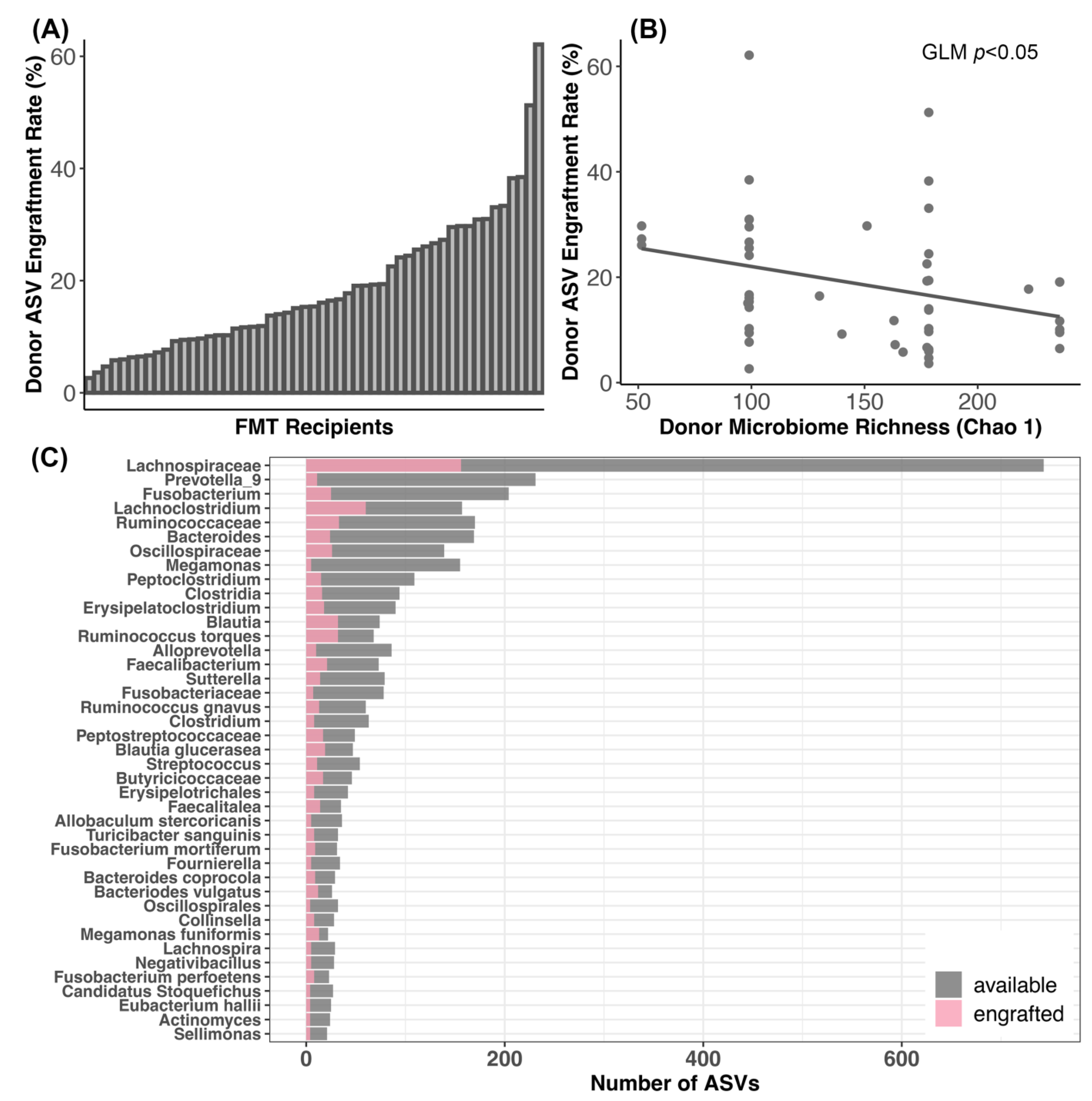 Vetsci 11 00042 g005