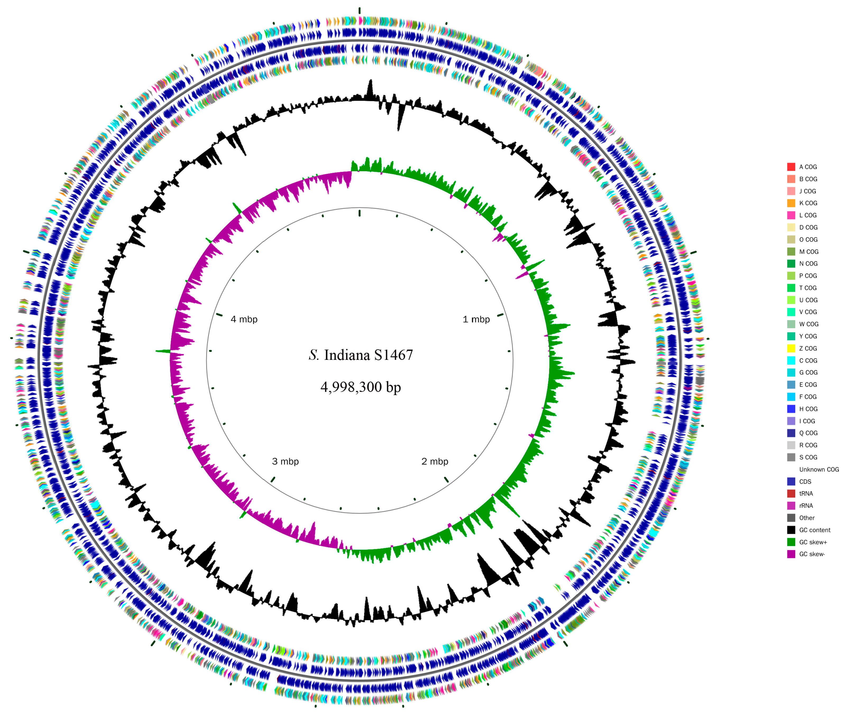 Genomic Characterization of a Plasmid-Free and Highly Drug