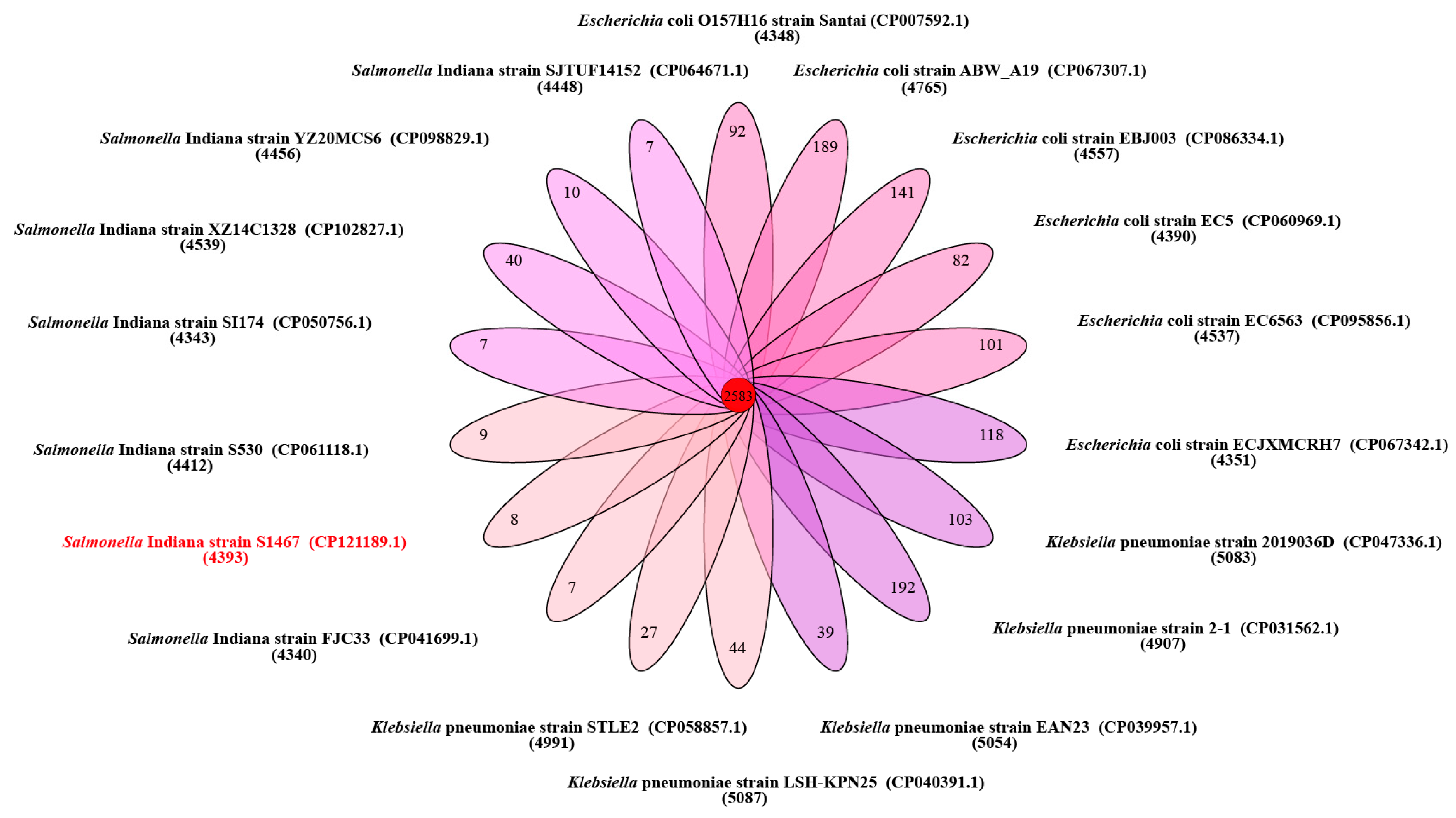 Vetsci 11 00046 g002