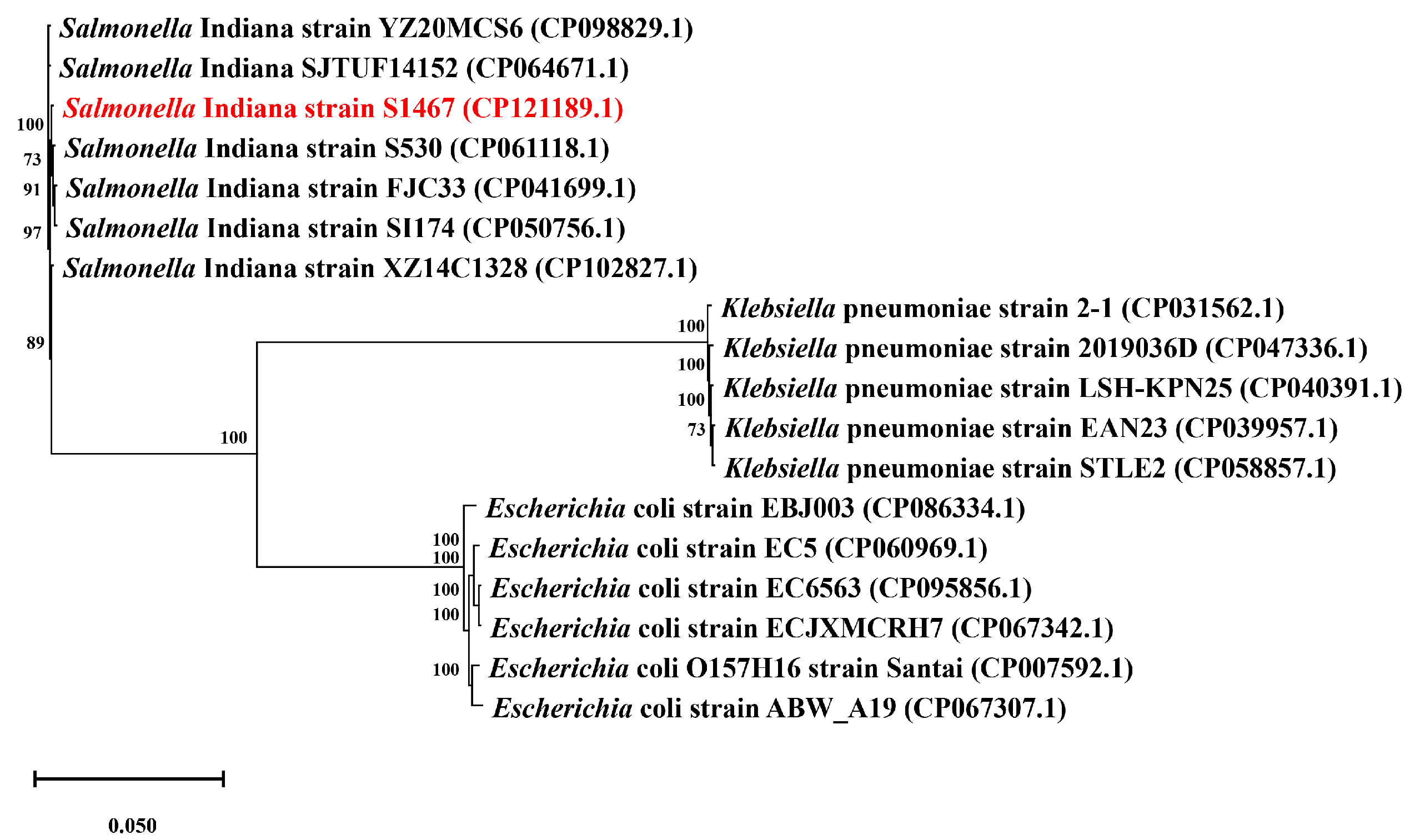 Vetsci 11 00046 g003