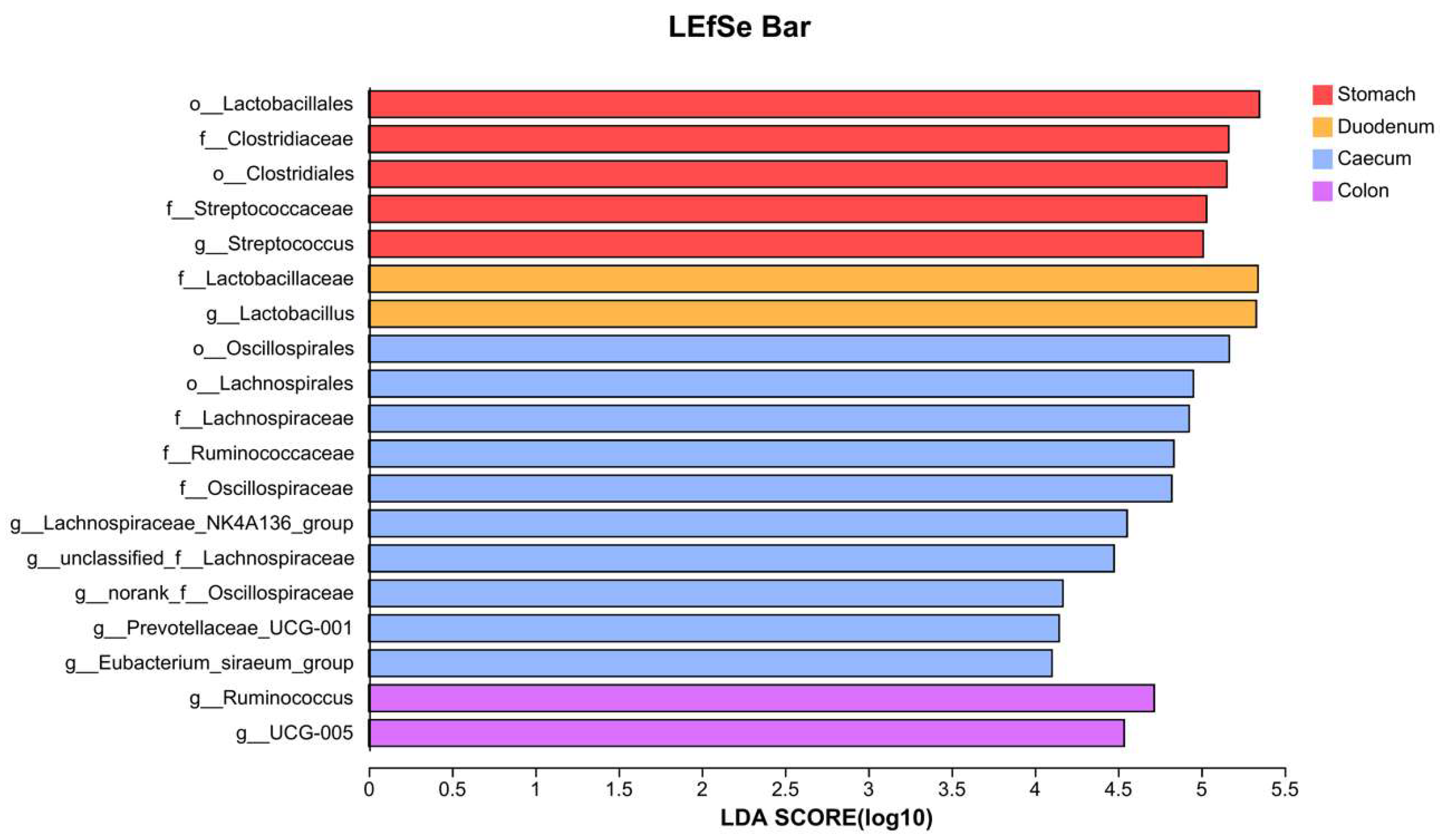 Vetsci 11 00058 g004