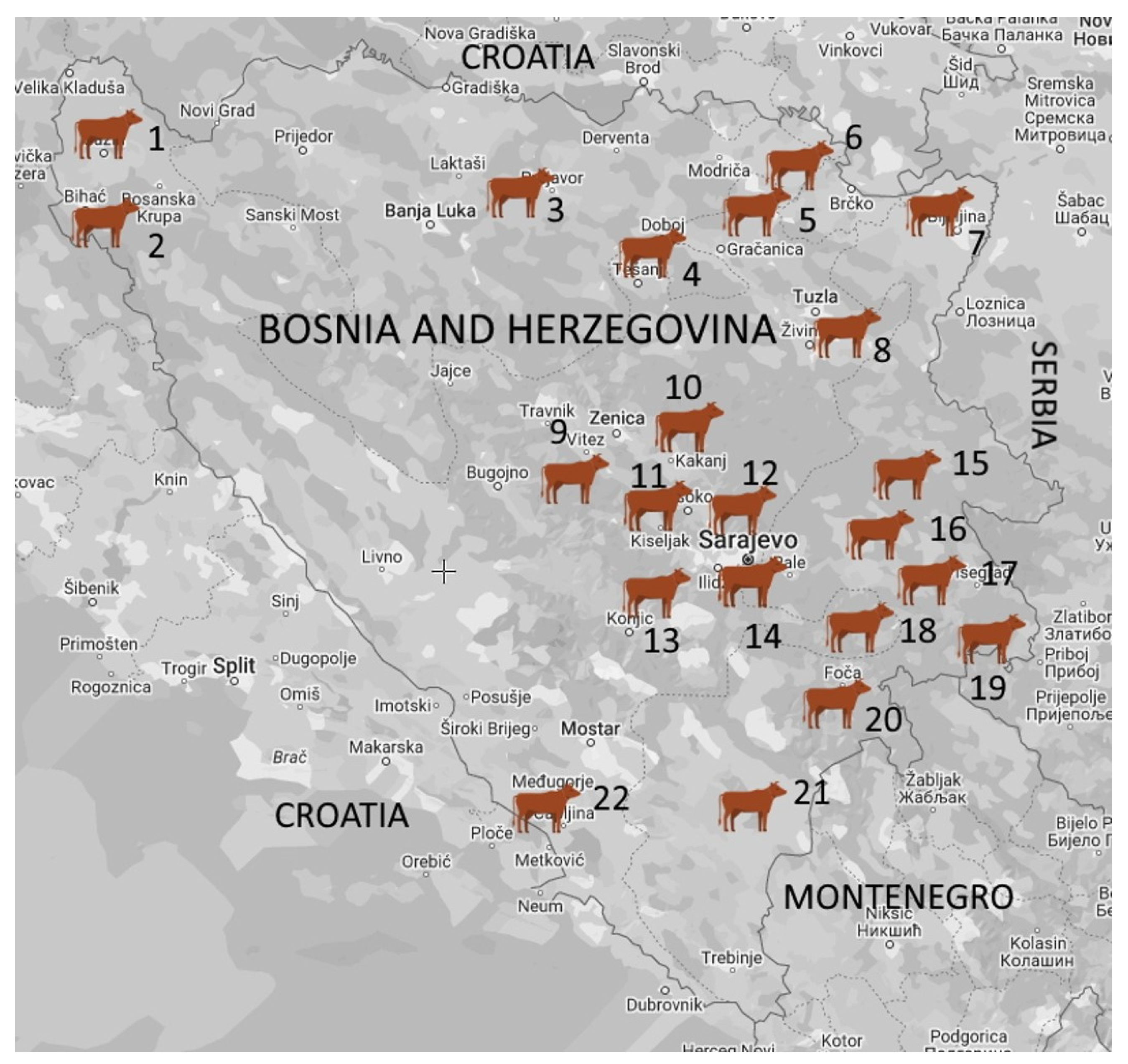 Vetsci 11 00063 g001 Vetsci 11 00063 g001