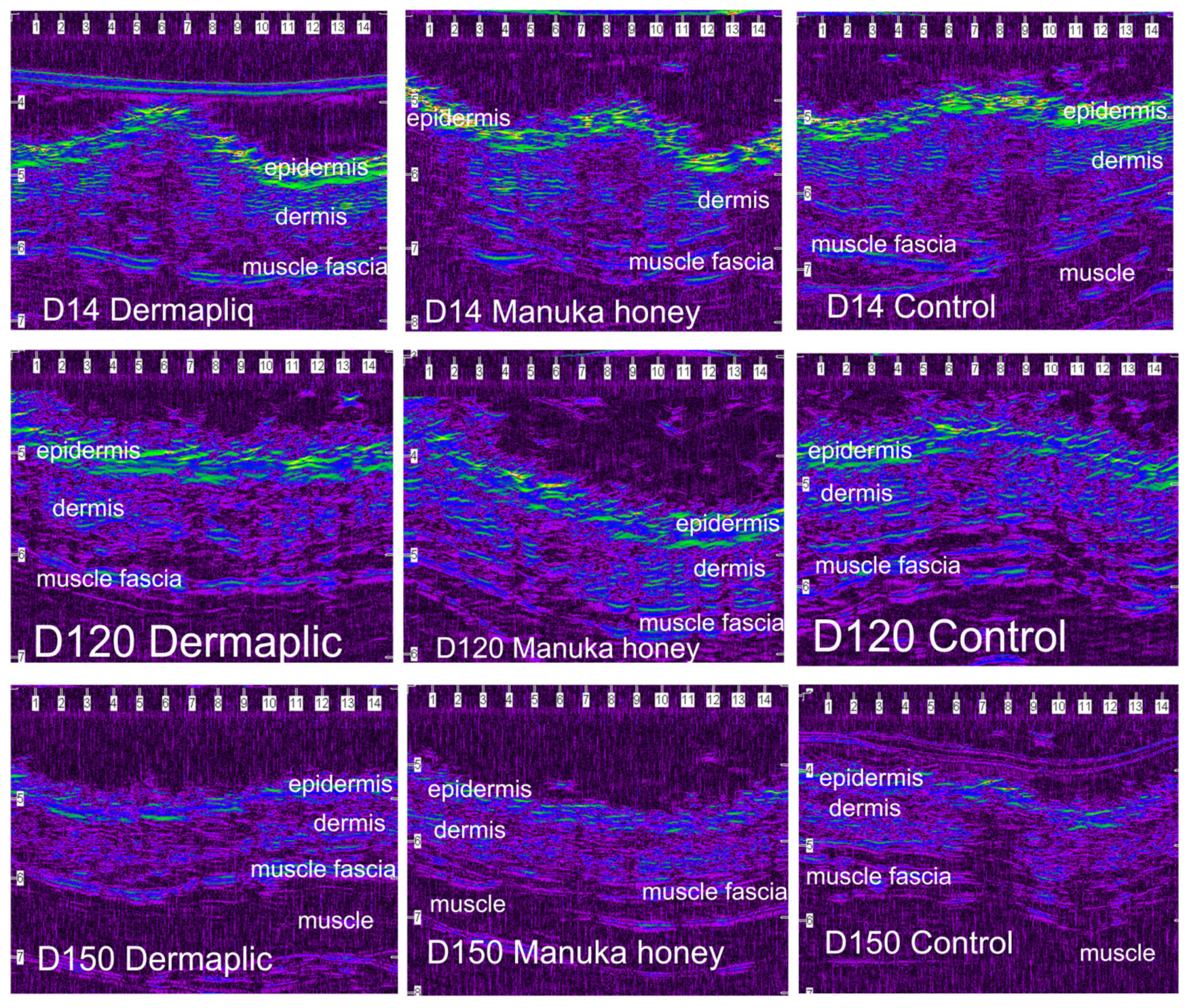 Vetsci 11 00064 g011 Vetsci 11 00064 g011