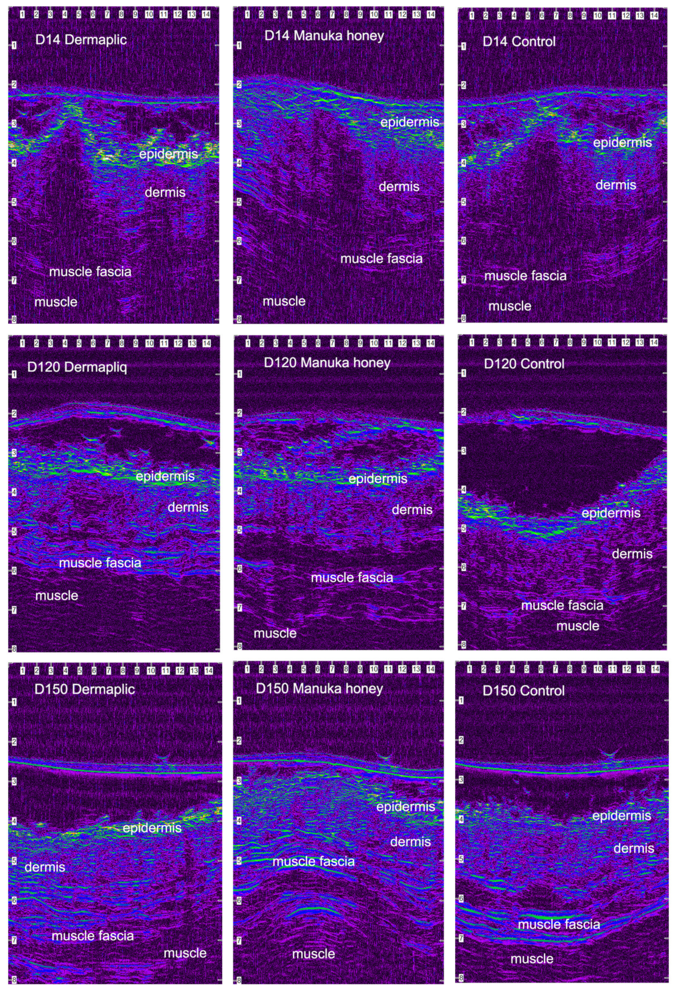Vetsci 11 00064 g012 Vetsci 11 00064 g012