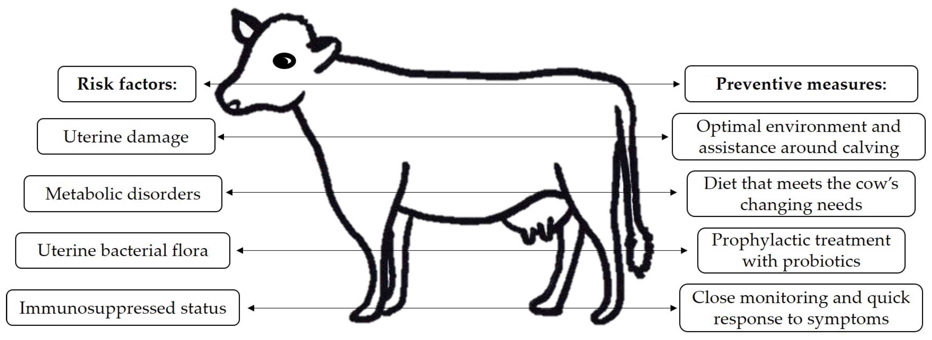 Vetsci 11 00066 g001