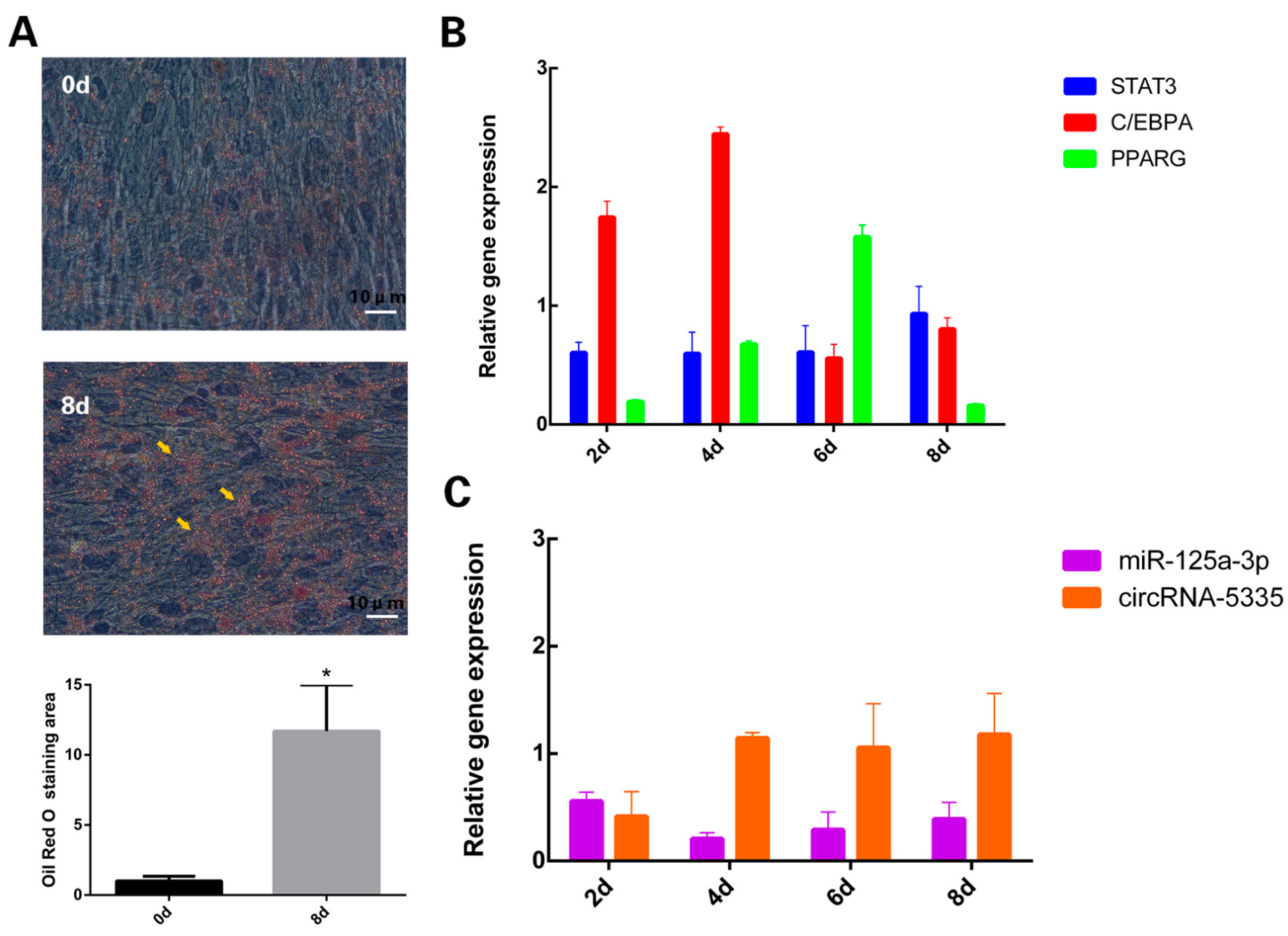 Vetsci 11 00070 g001