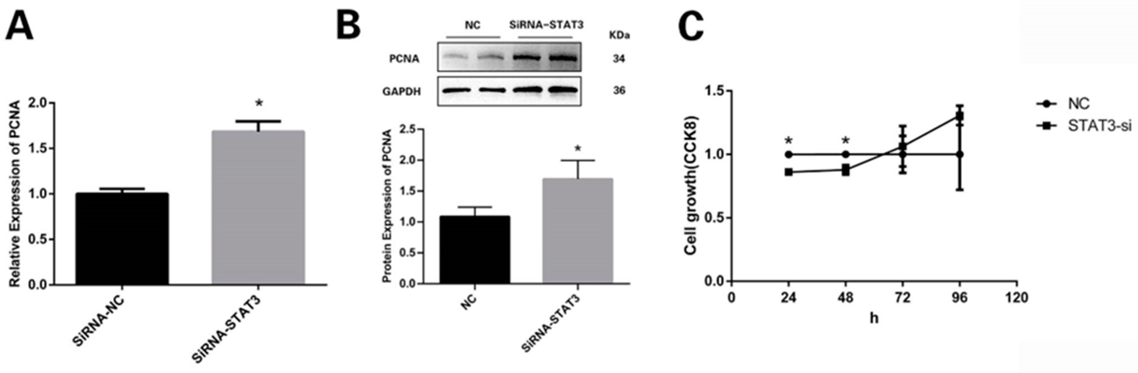 Vetsci 11 00070 g003
