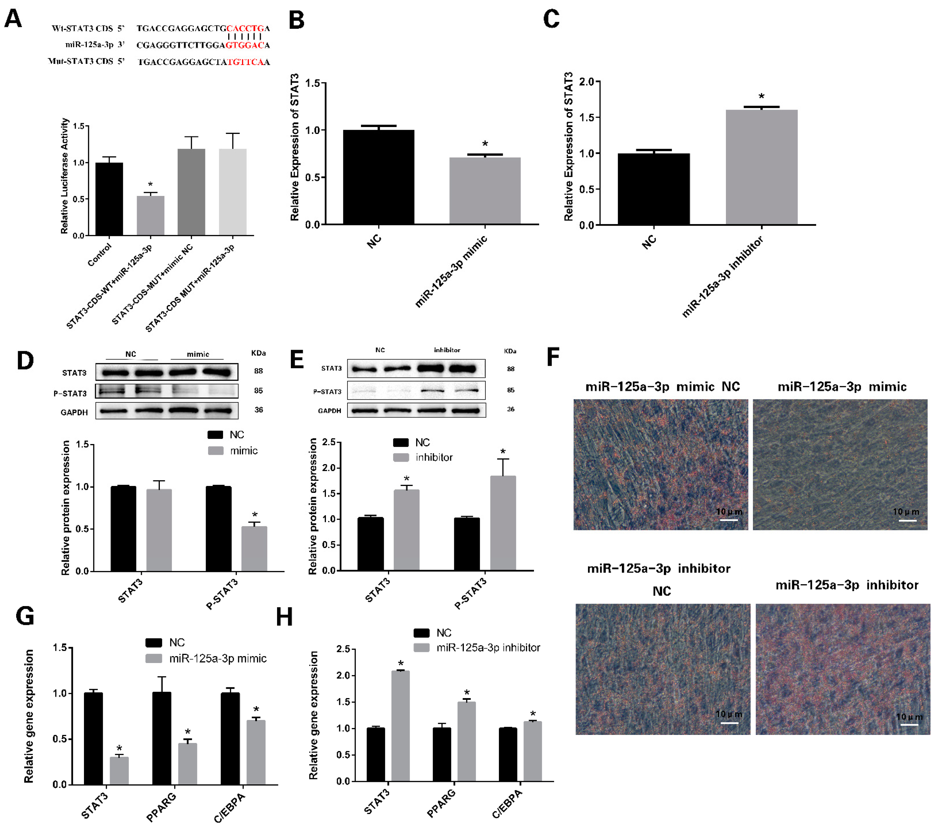 Vetsci 11 00070 g004