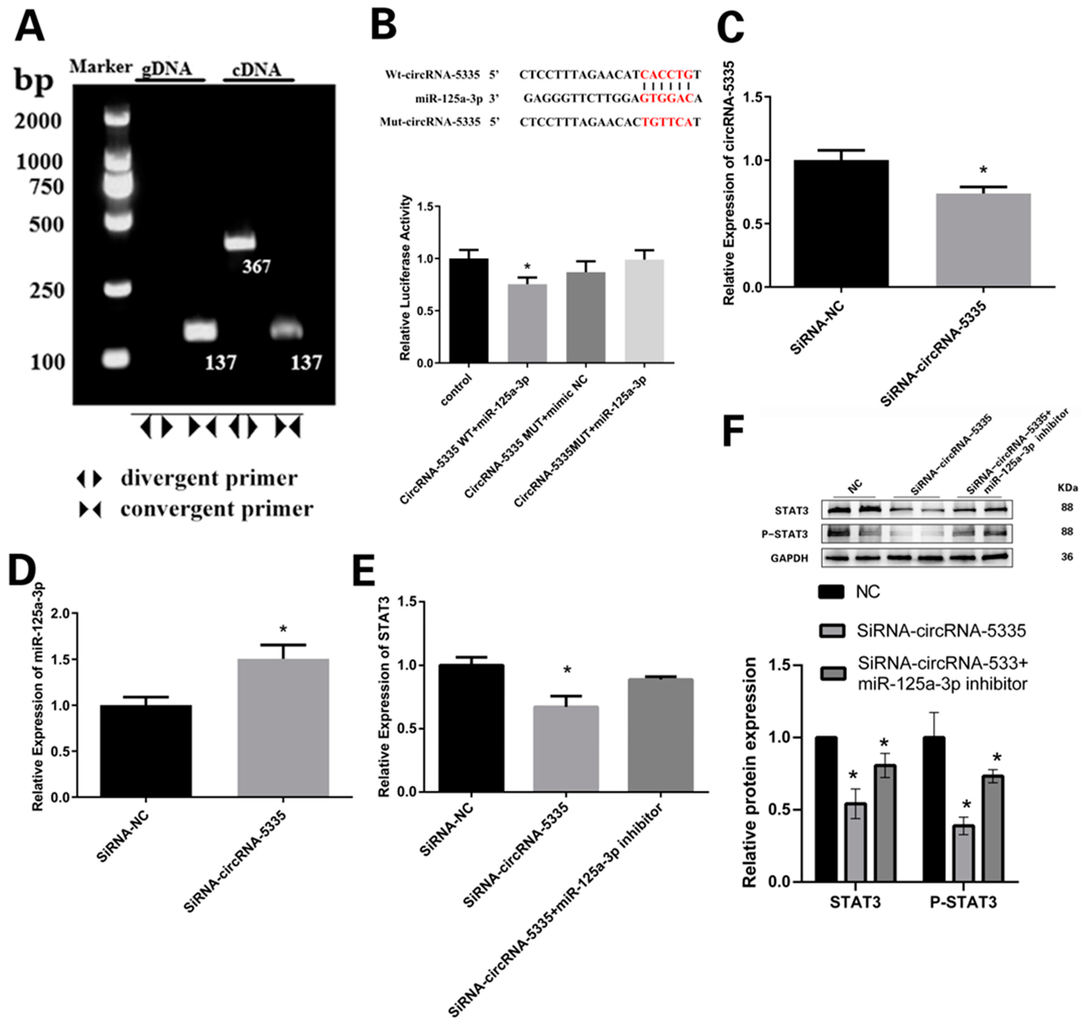 Vetsci 11 00070 g006