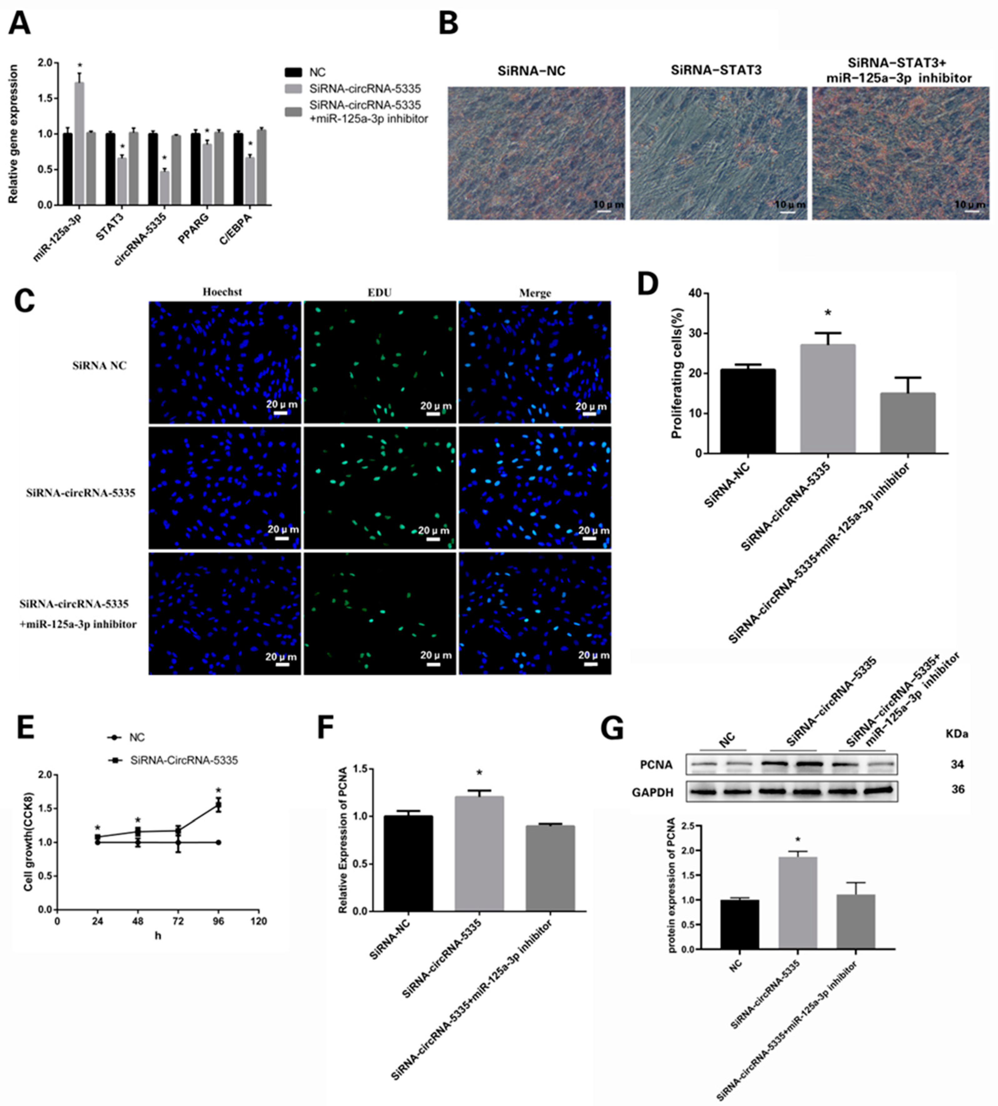 Vetsci 11 00070 g007