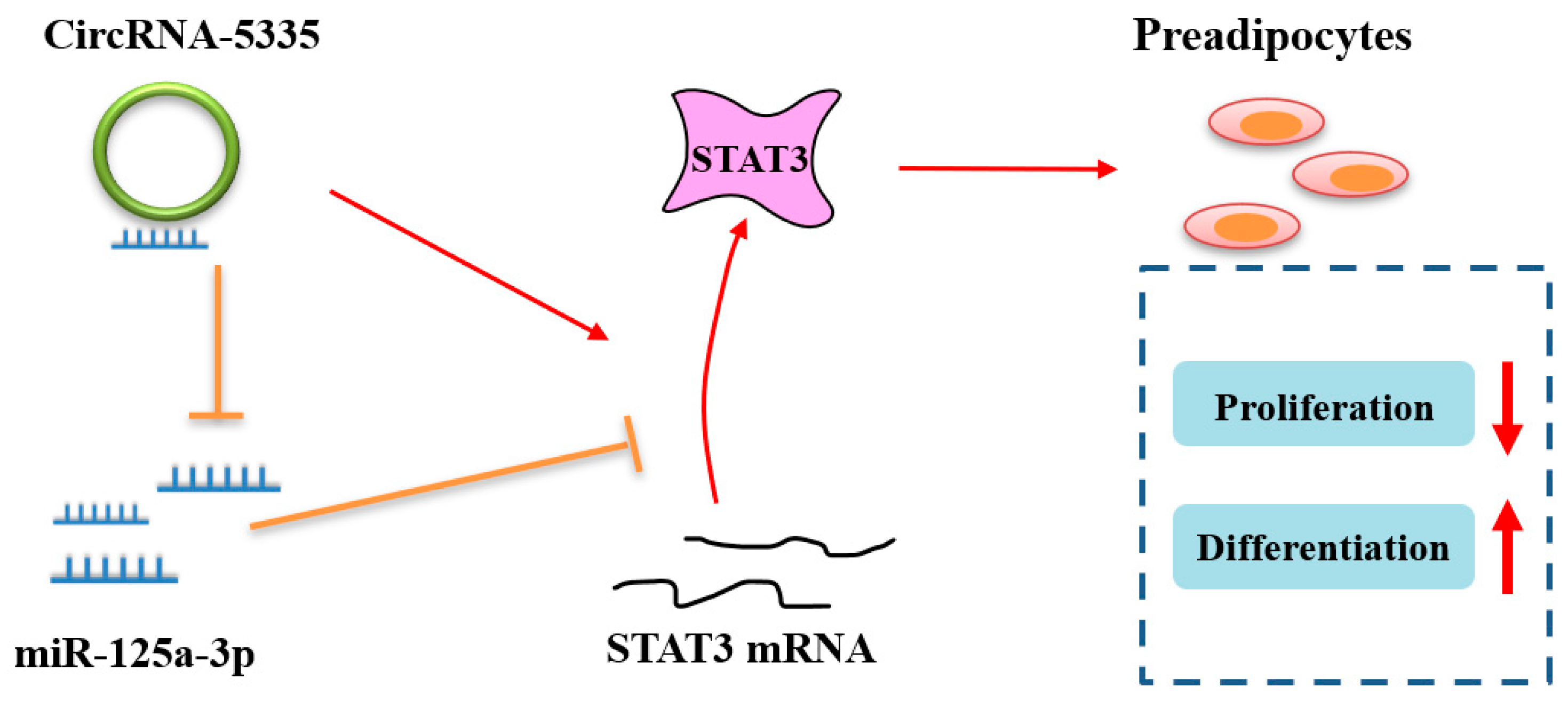 Vetsci 11 00070 g008