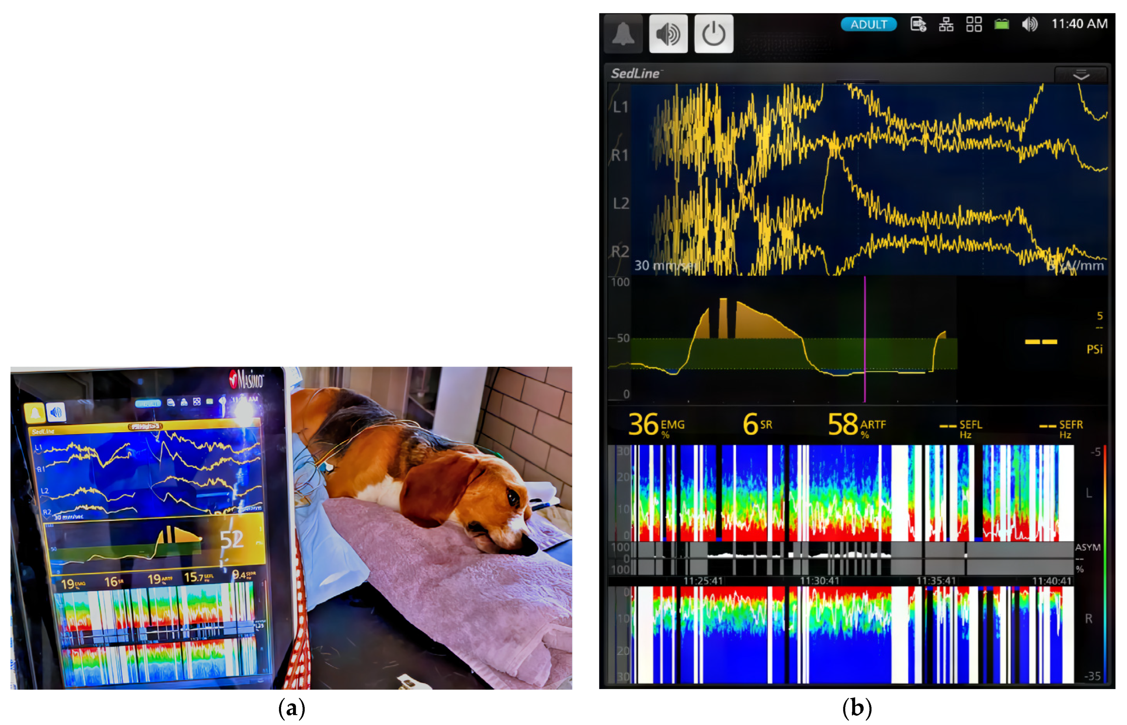 Vetsci 11 00074 g006