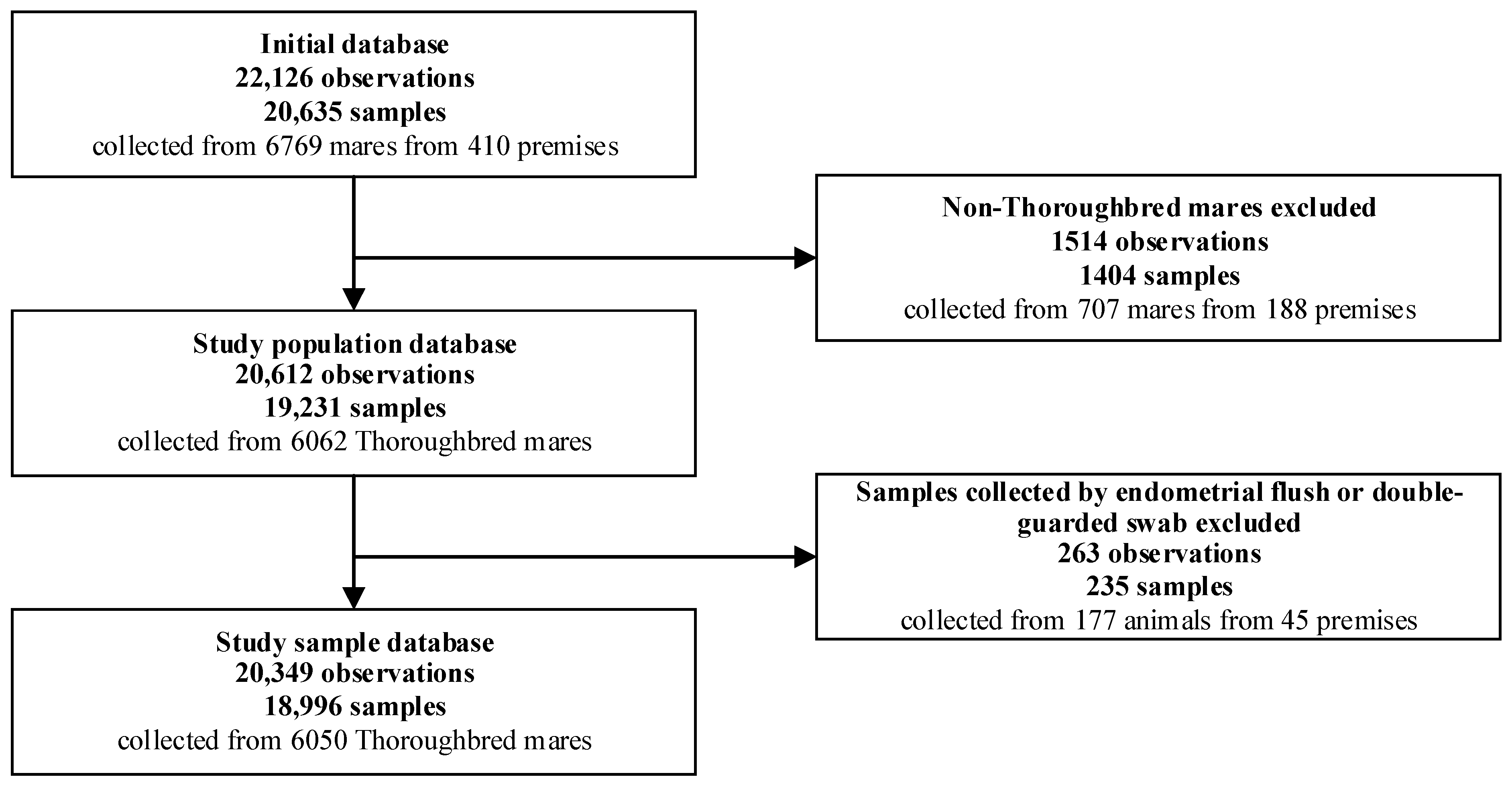 Vetsci 11 00082 g001