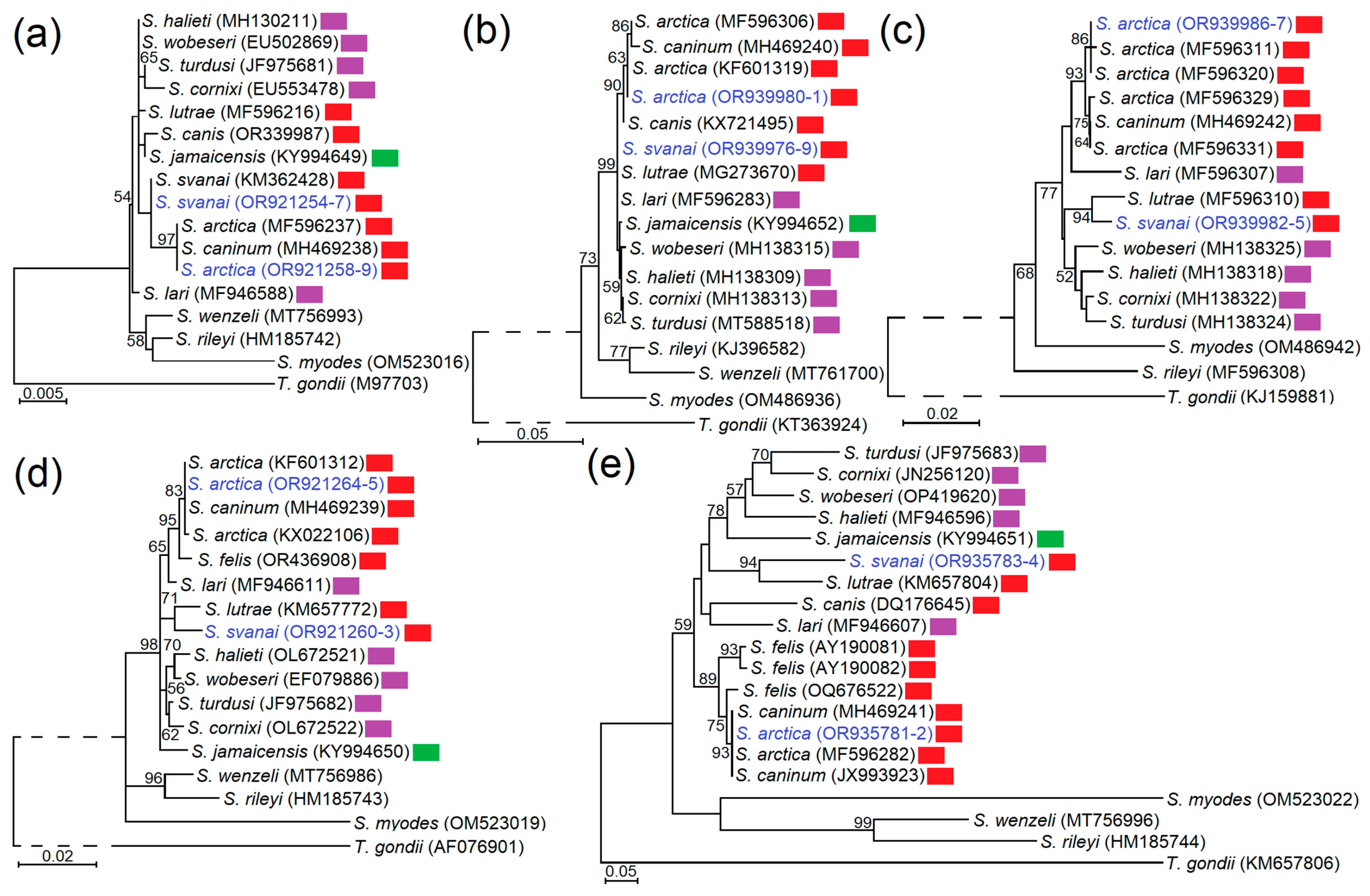 Vetsci 11 00085 g004
