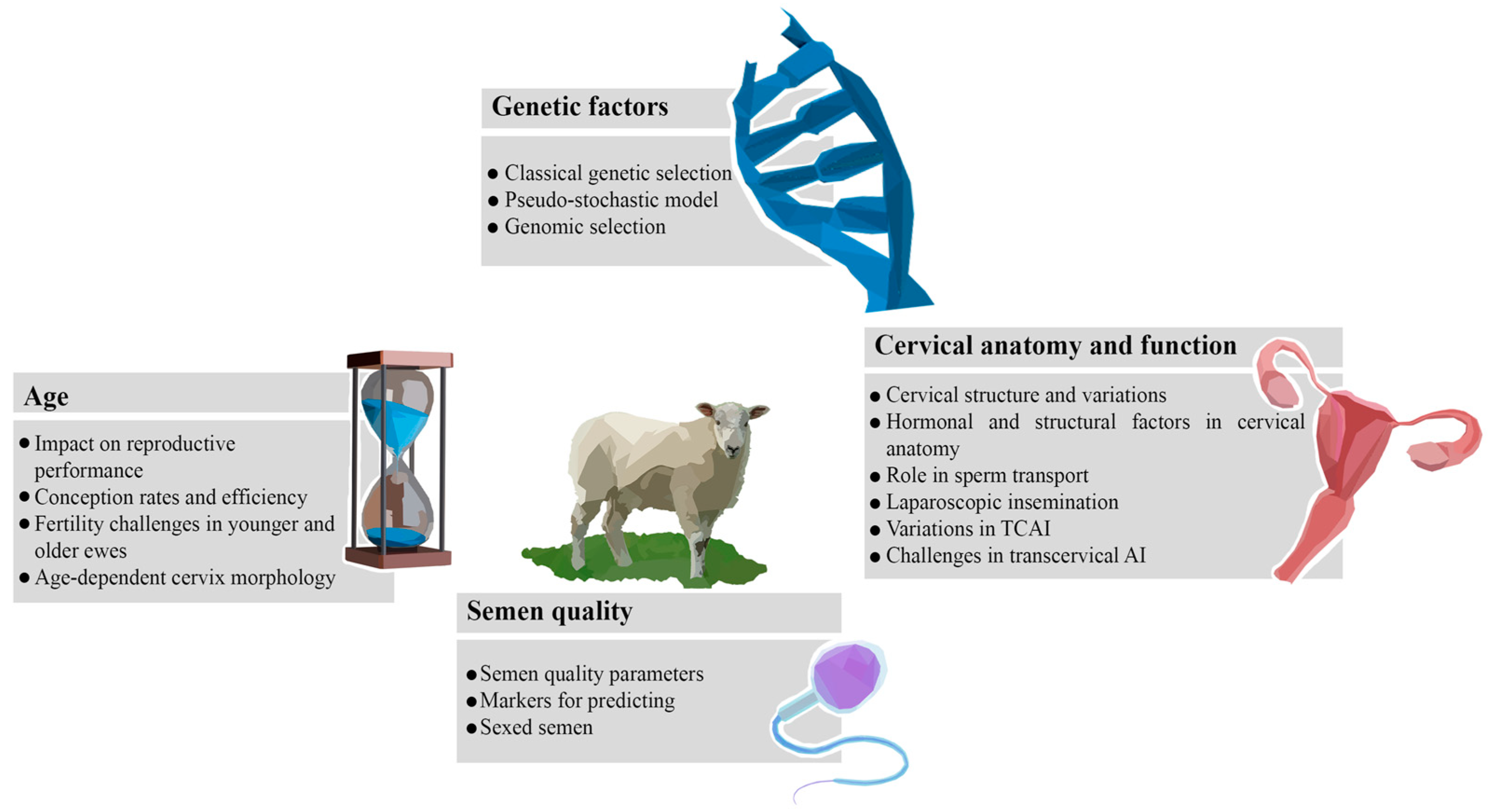 Vetsci 11 00086 g001 Vetsci 11 00086 g001