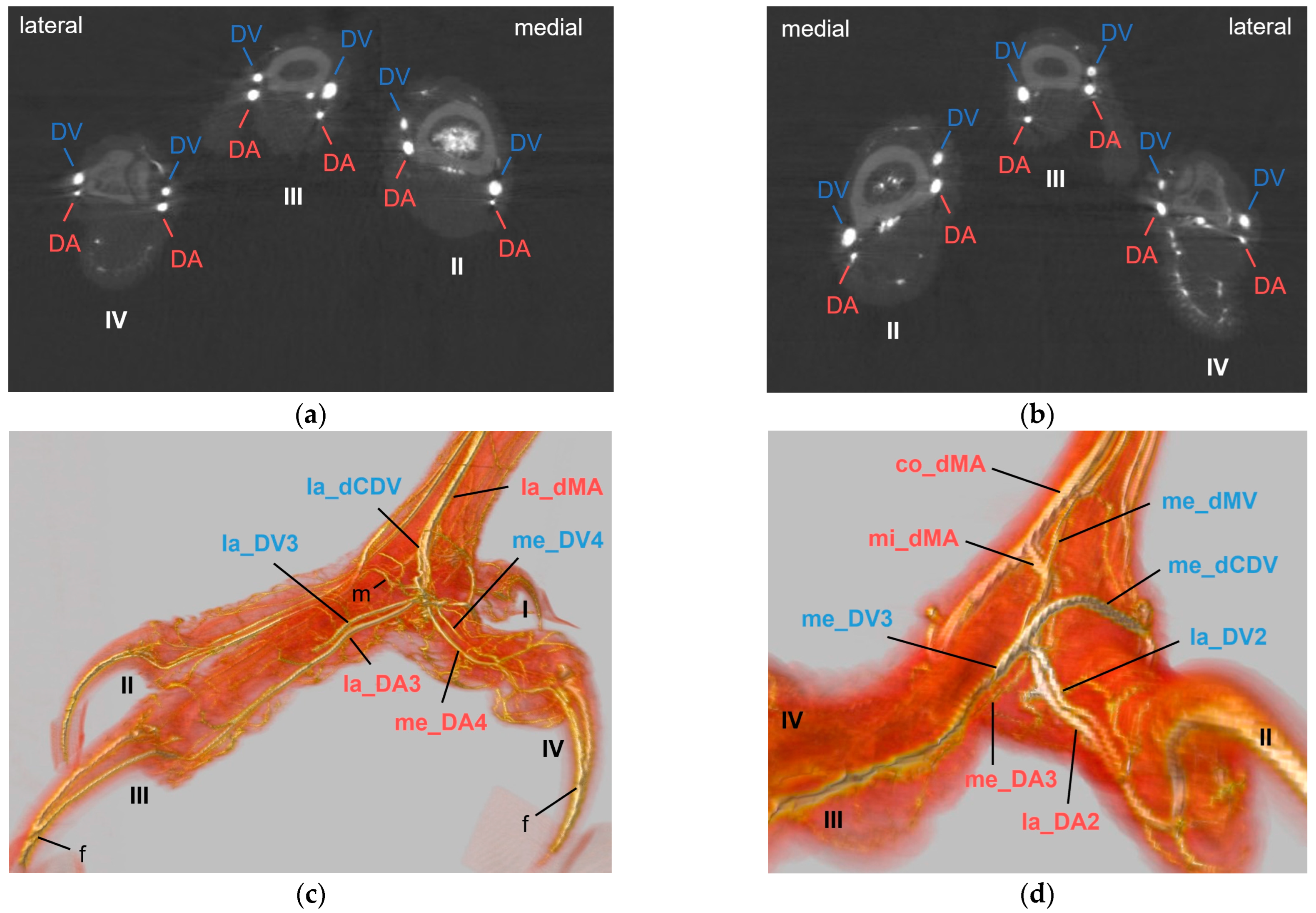 Vetsci 11 00088 g006