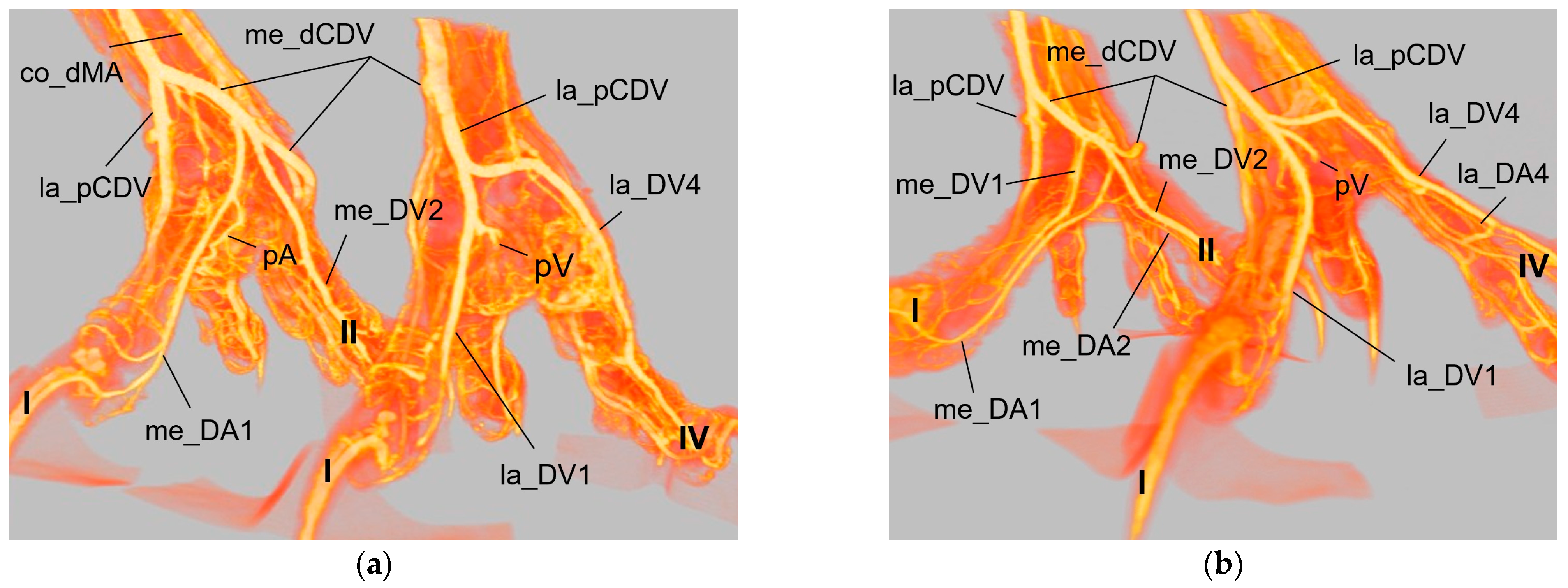 Vetsci 11 00088 g012