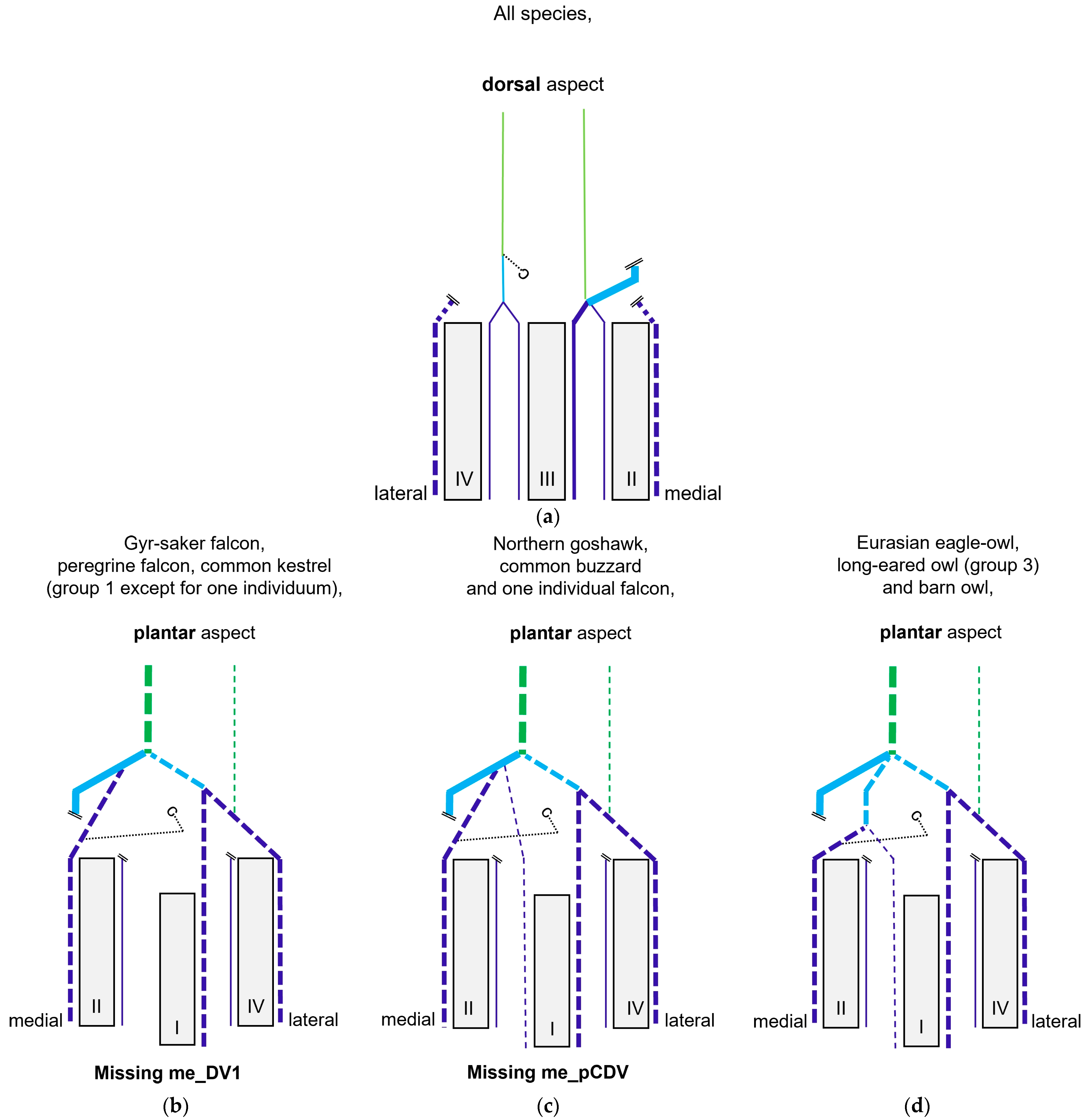Vetsci 11 00088 g018