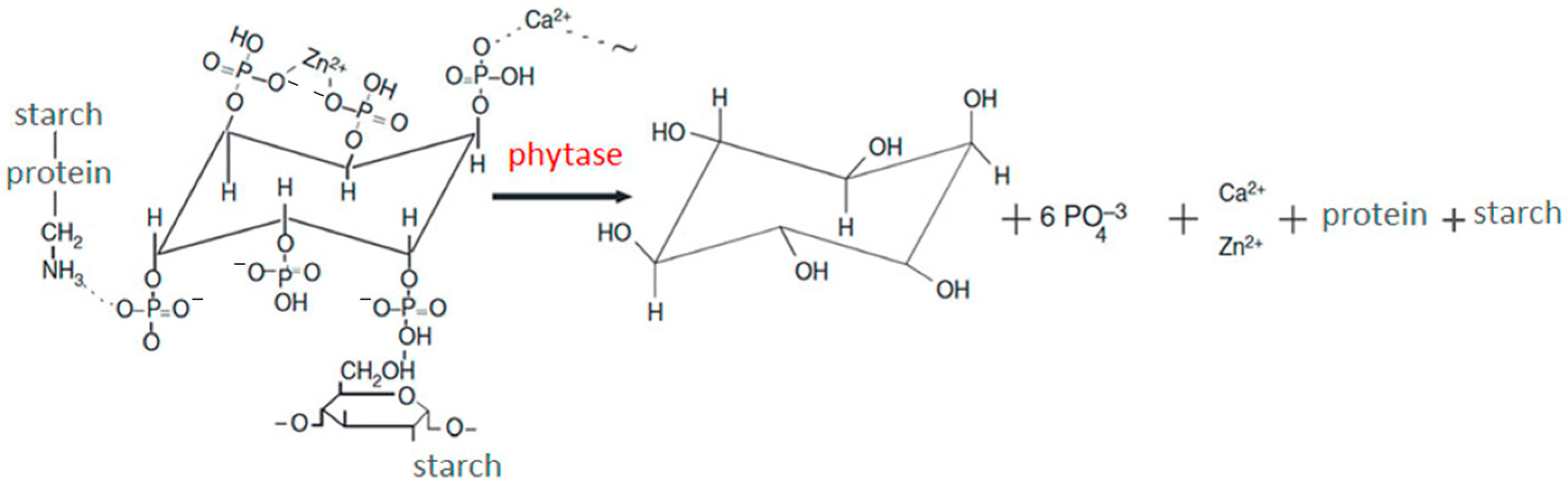 Vetsci 11 00091 g001
