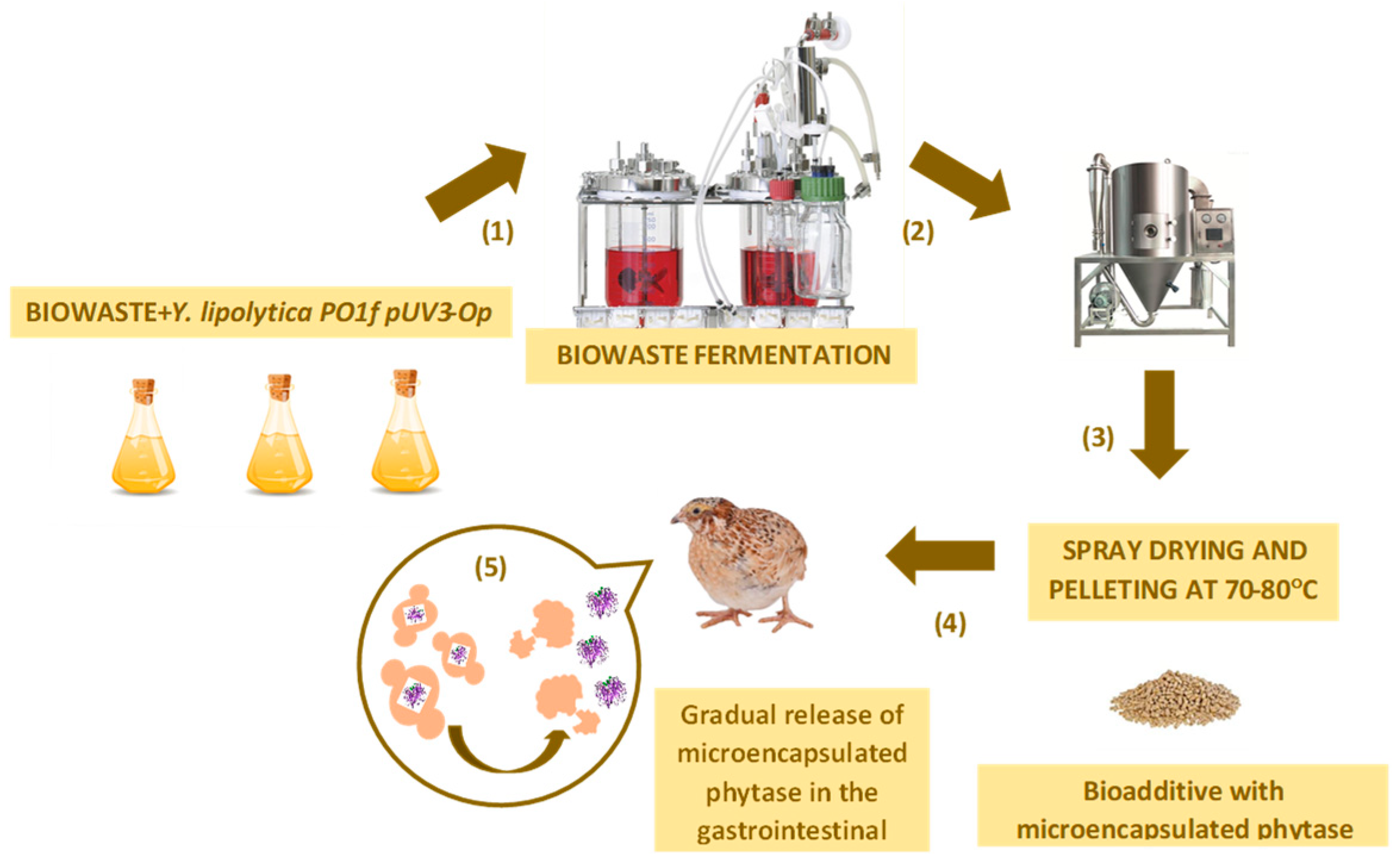 Vetsci 11 00091 g003