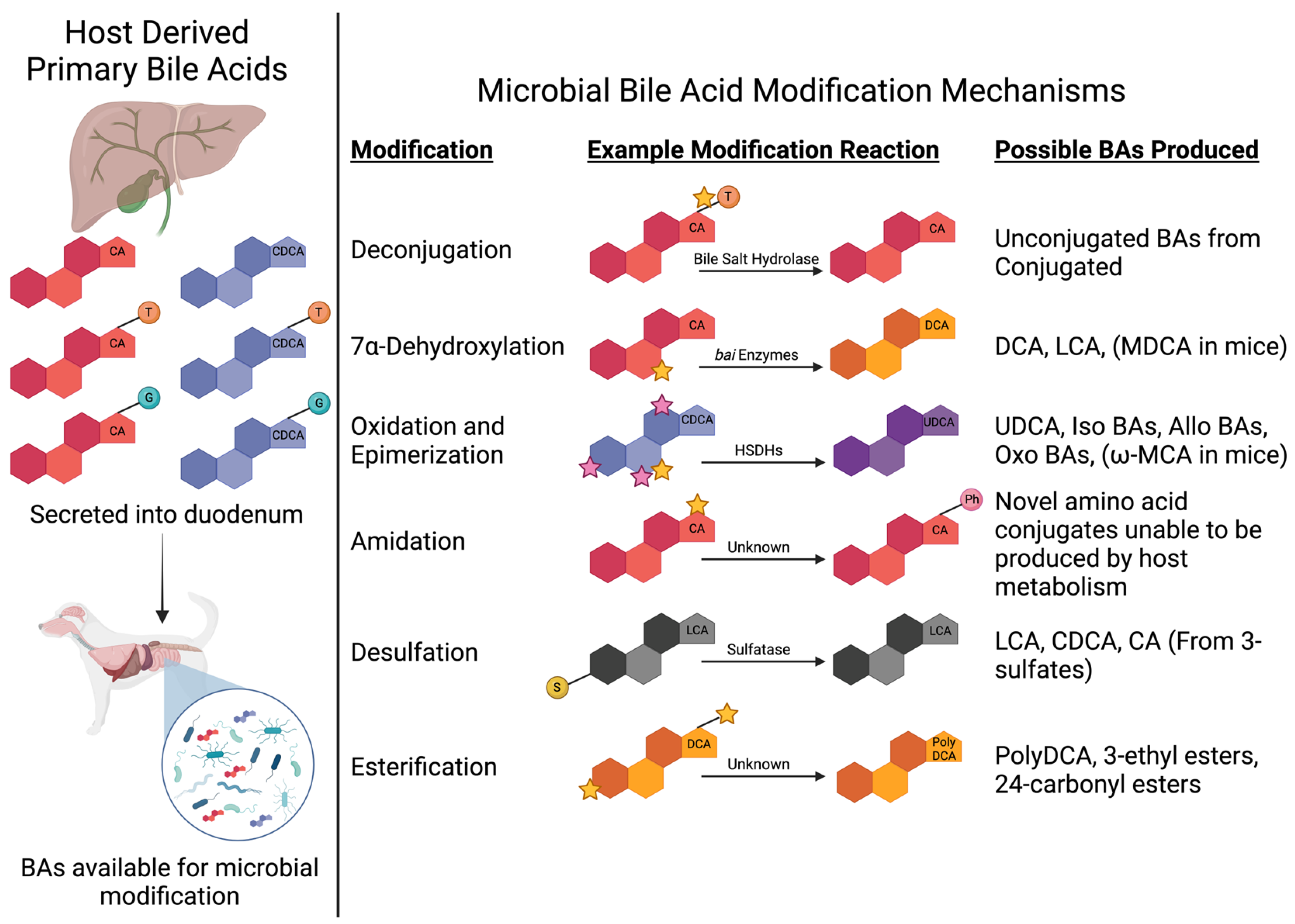 Vetsci 11 00094 g001 Vetsci 11 00094 g001