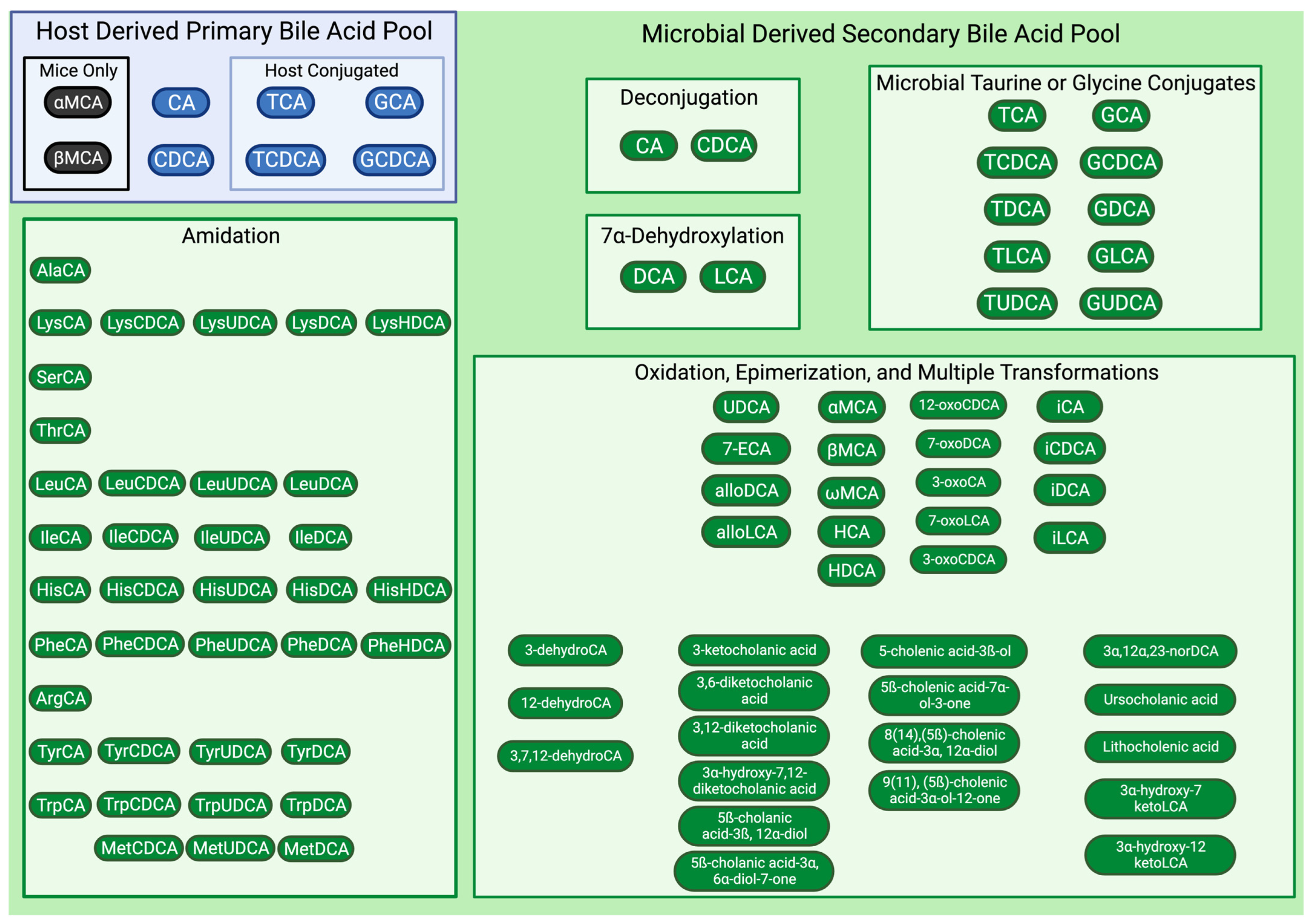 Vetsci 11 00094 g002 Vetsci 11 00094 g002