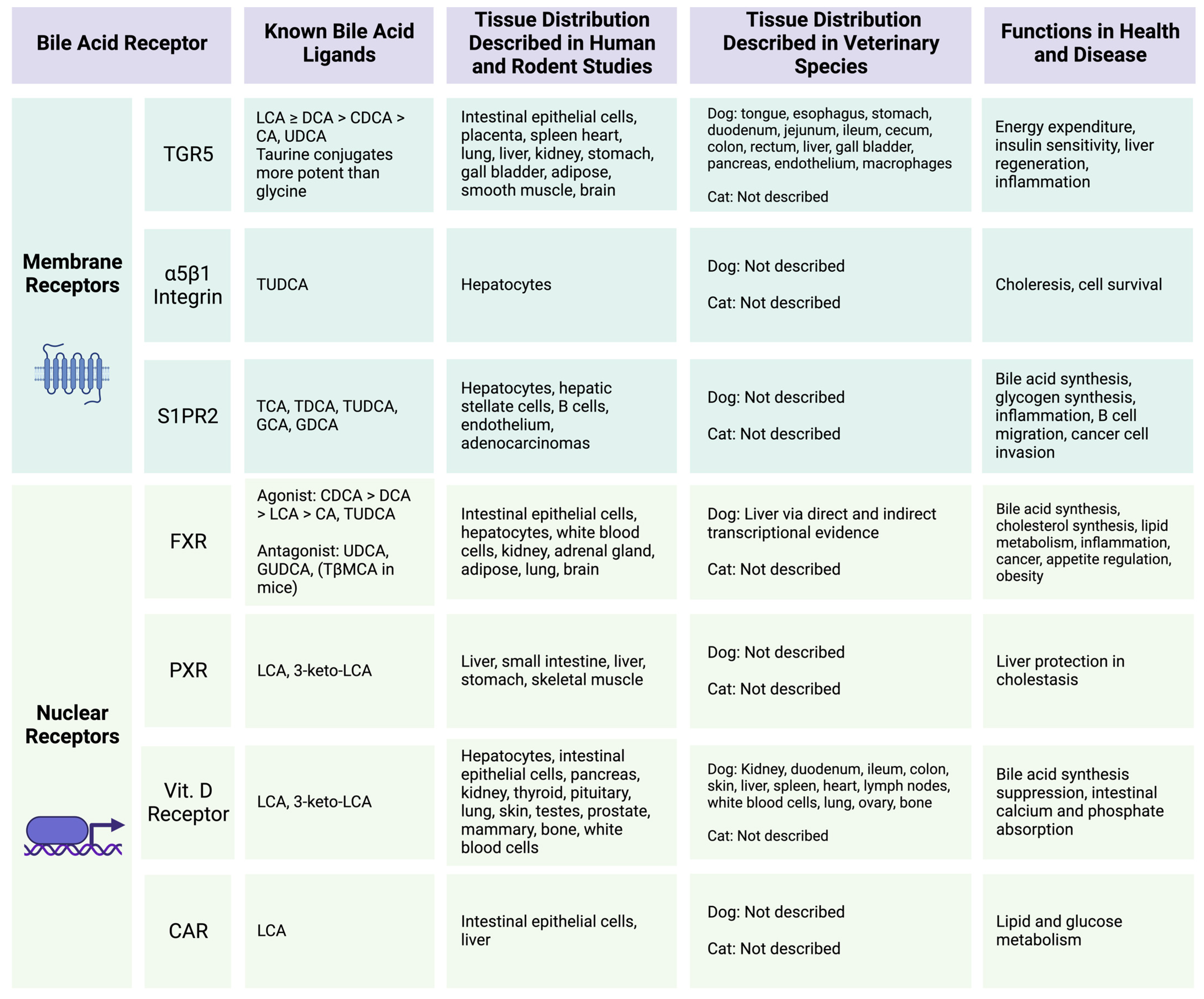 Vetsci 11 00094 g003 Vetsci 11 00094 g003