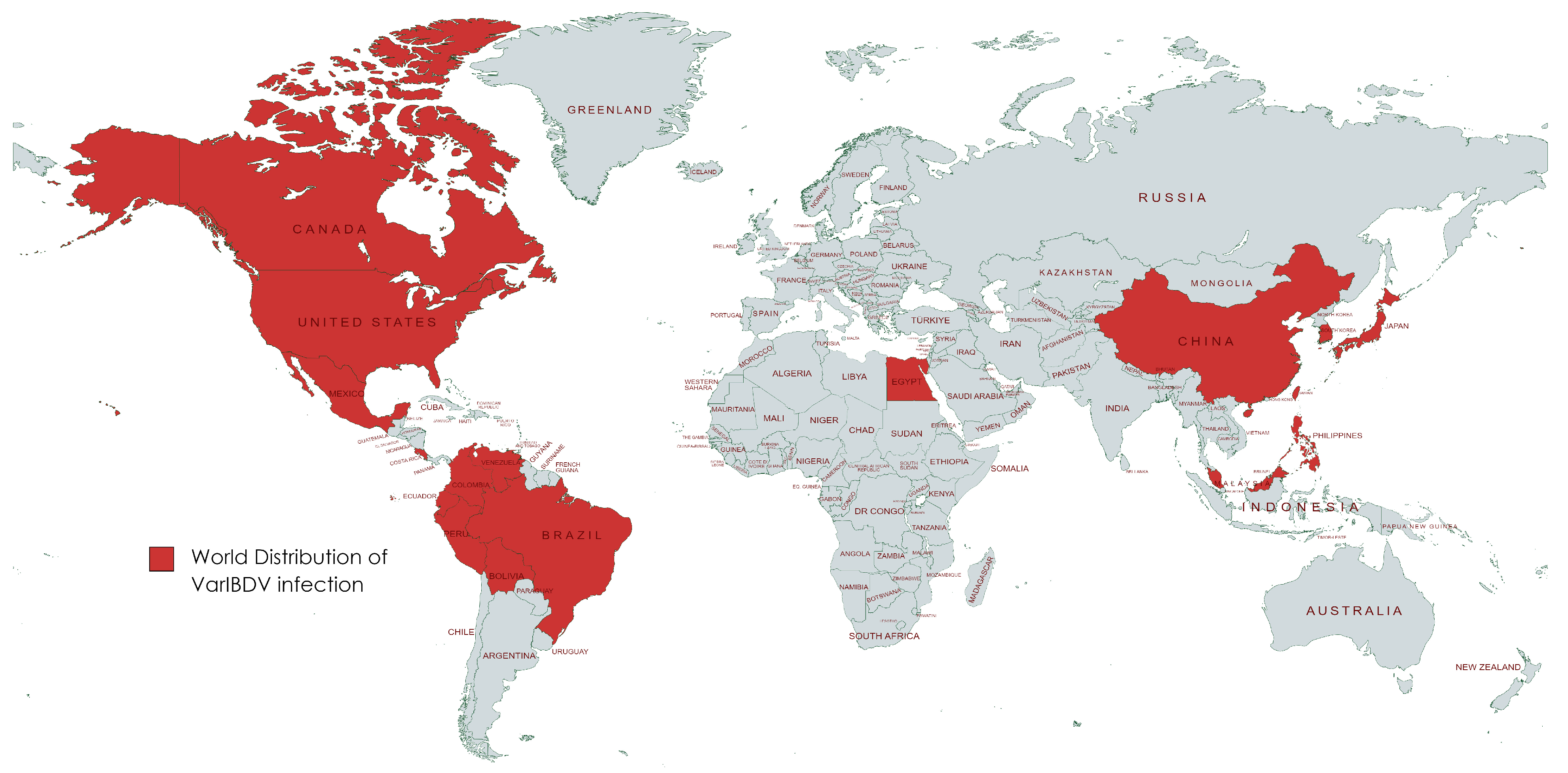 Vetsci 11 00098 g001