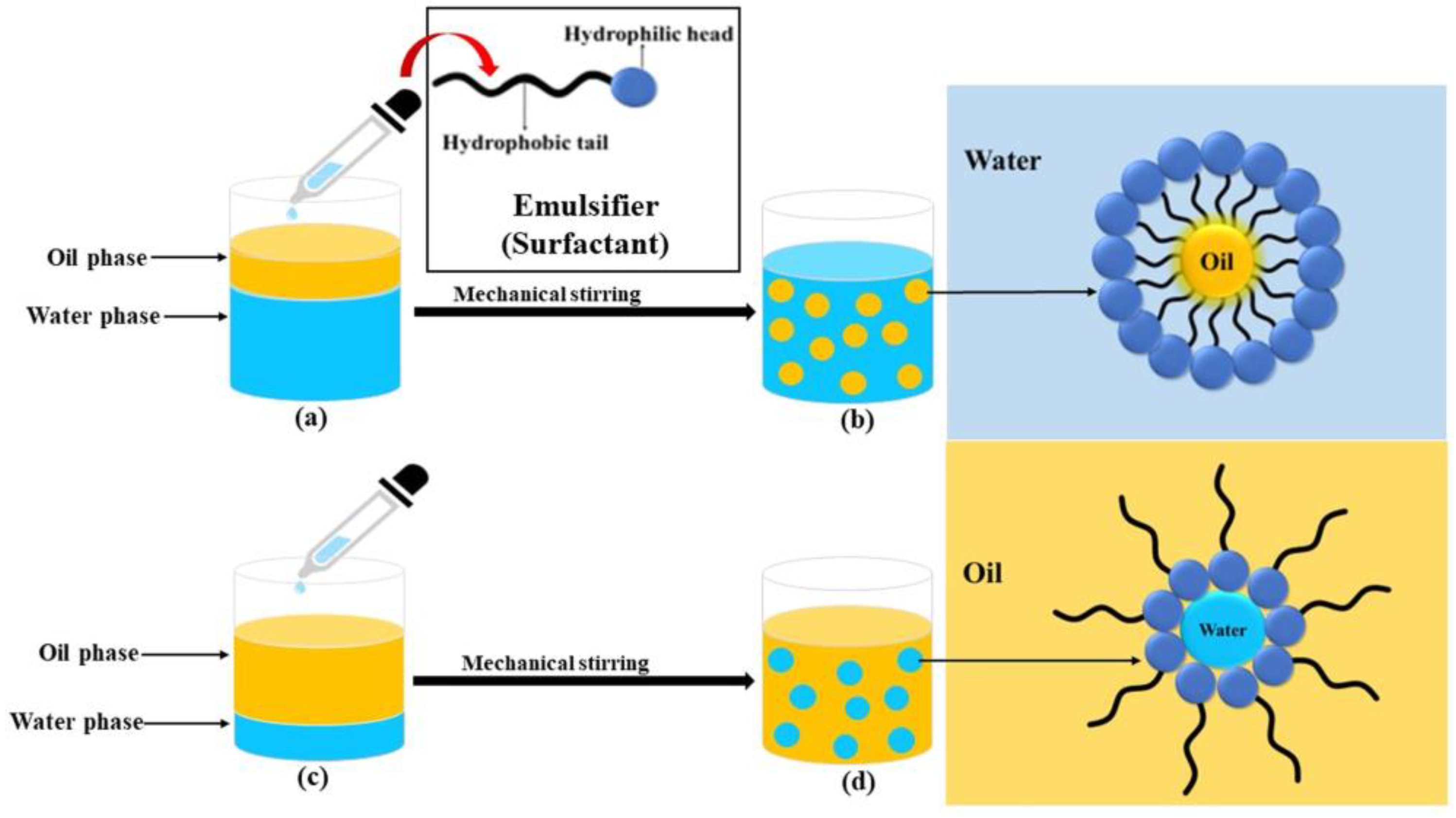 Vetsci 11 00101 g001
