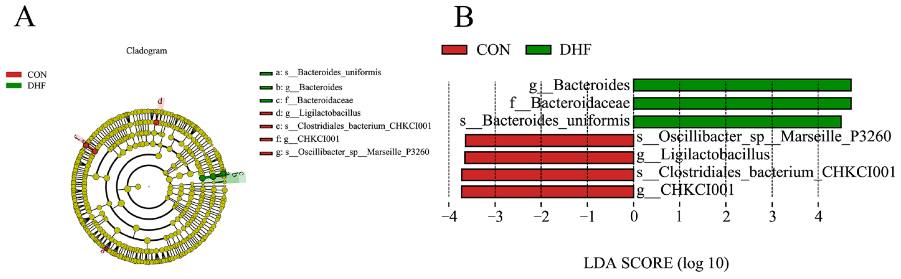 Vetsci 11 00107 g004