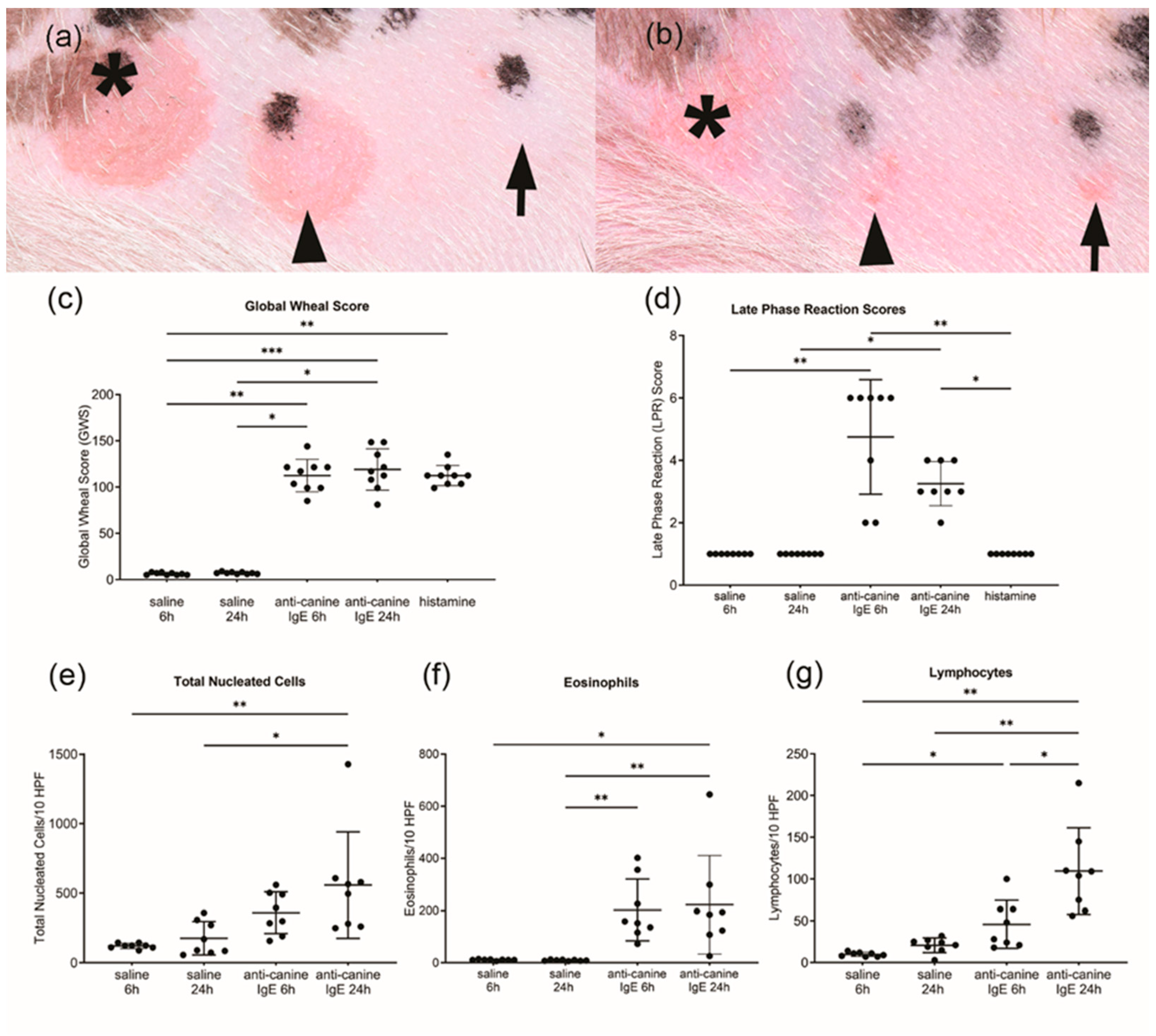 Vetsci 11 00109 g001