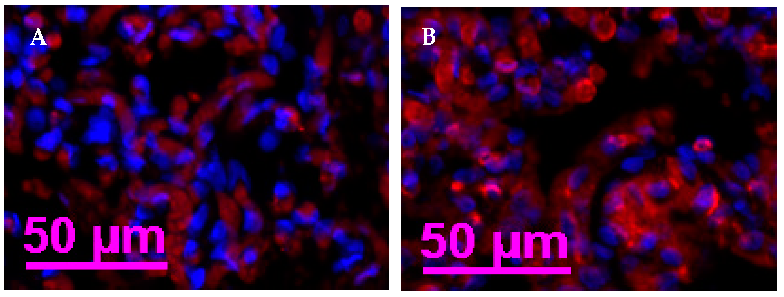 Vetsci 11 00111 g002