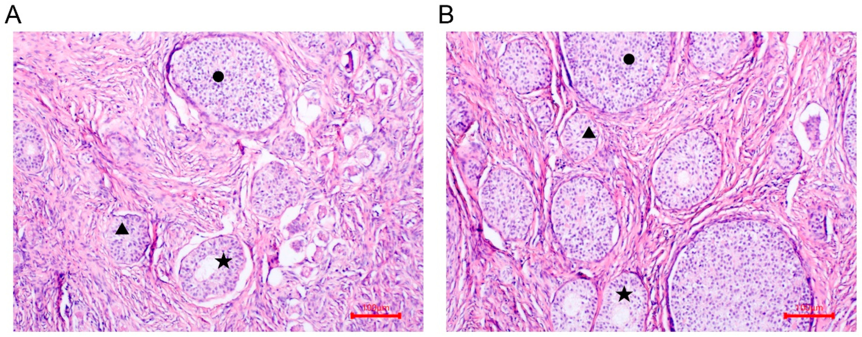 Vetsci 11 00115 g001 Vetsci 11 00115 g001
