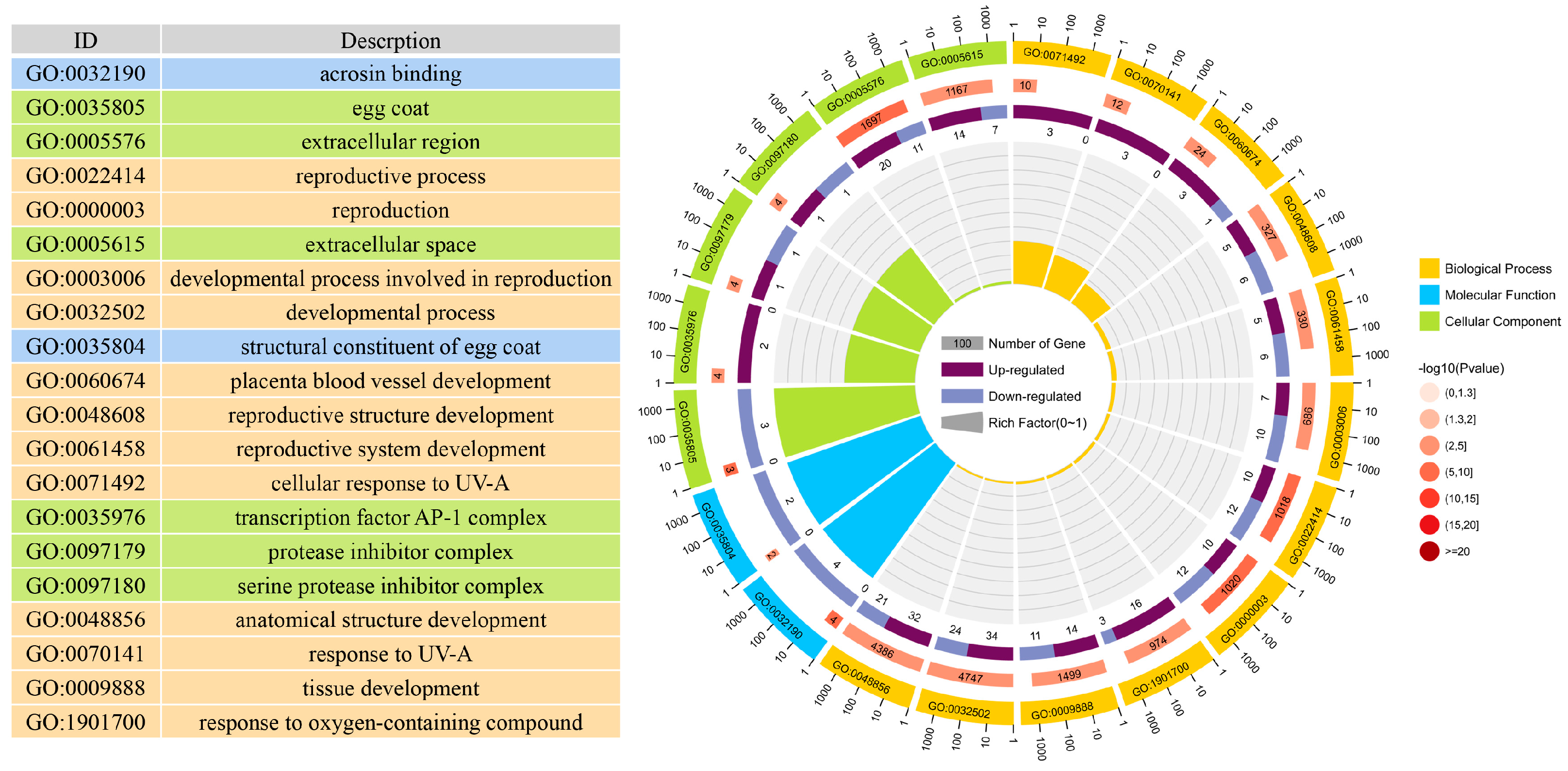 Vetsci 11 00115 g004 Vetsci 11 00115 g004