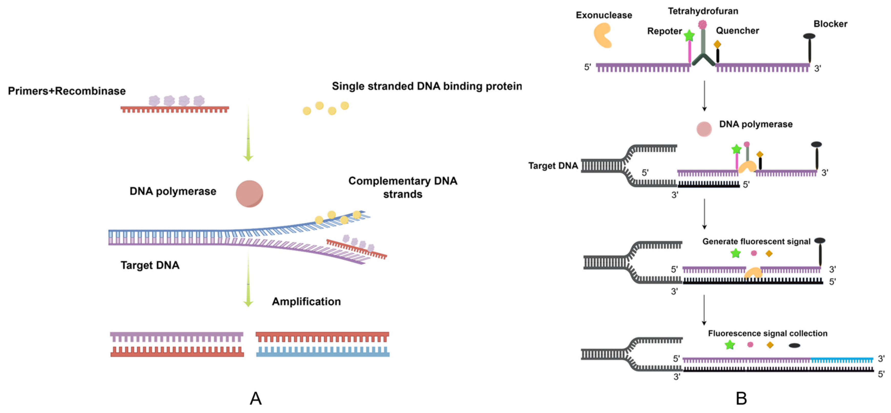 Vetsci 11 00122 g001 Vetsci 11 00122 g001