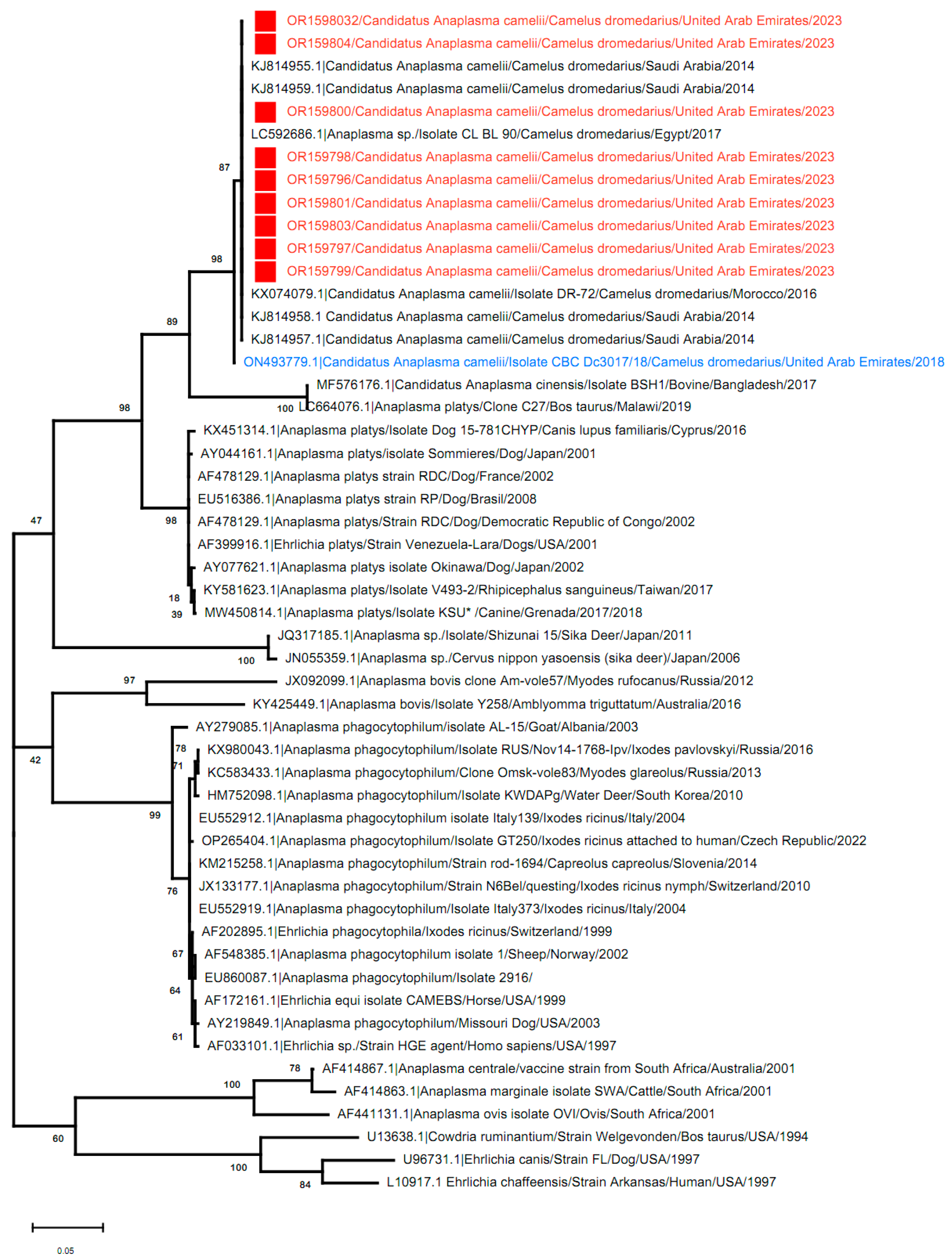 Vetsci 11 00123 g004
