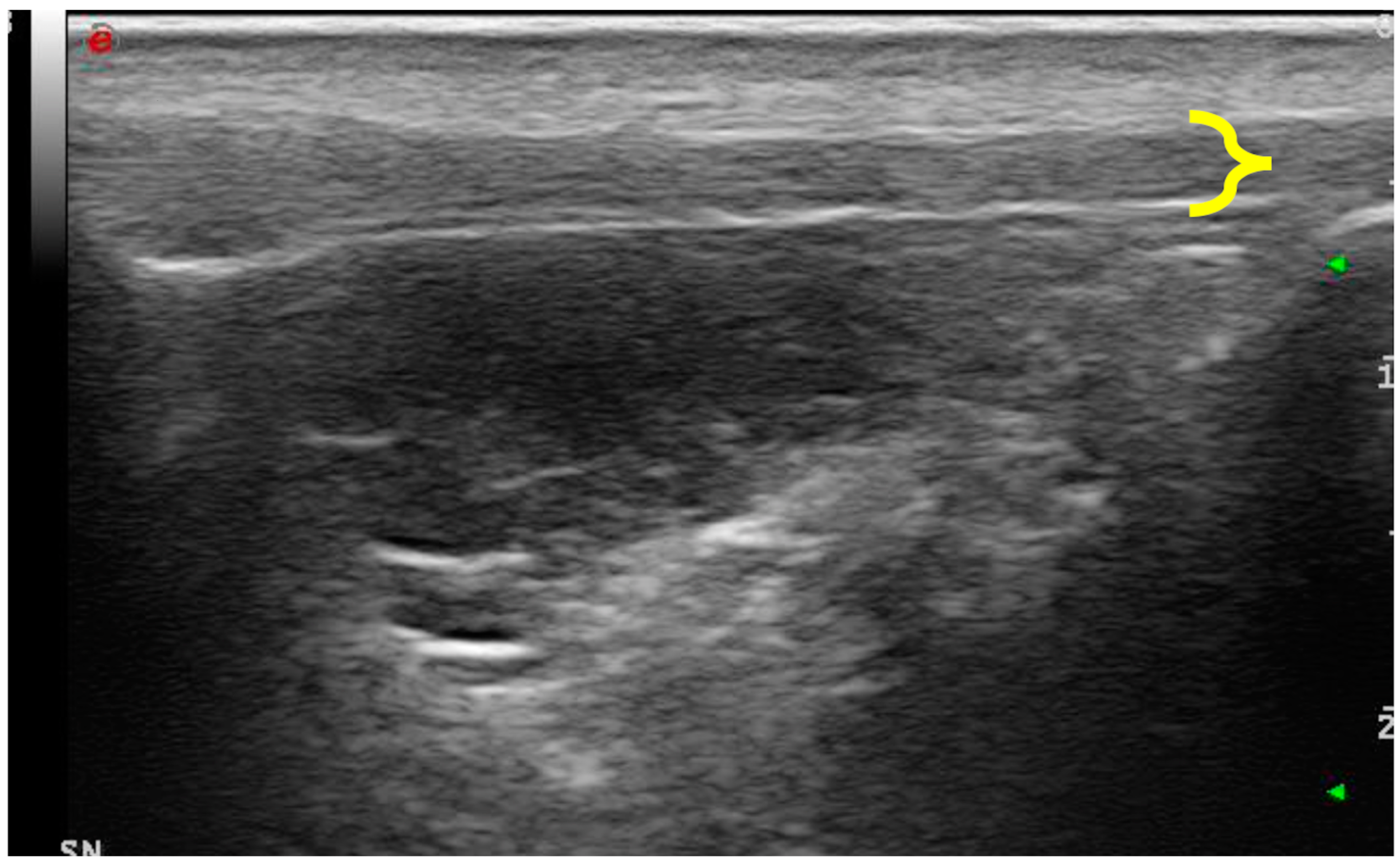 Vetsci 11 00126 g001