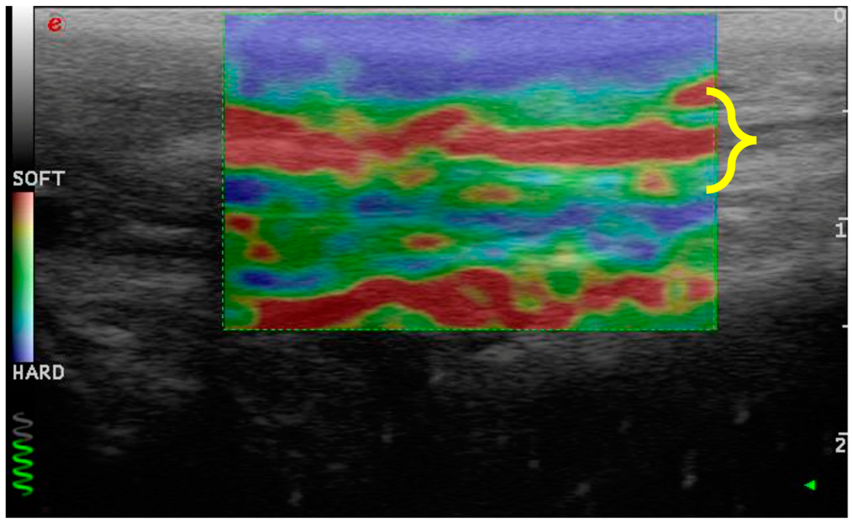 Vetsci 11 00126 g005